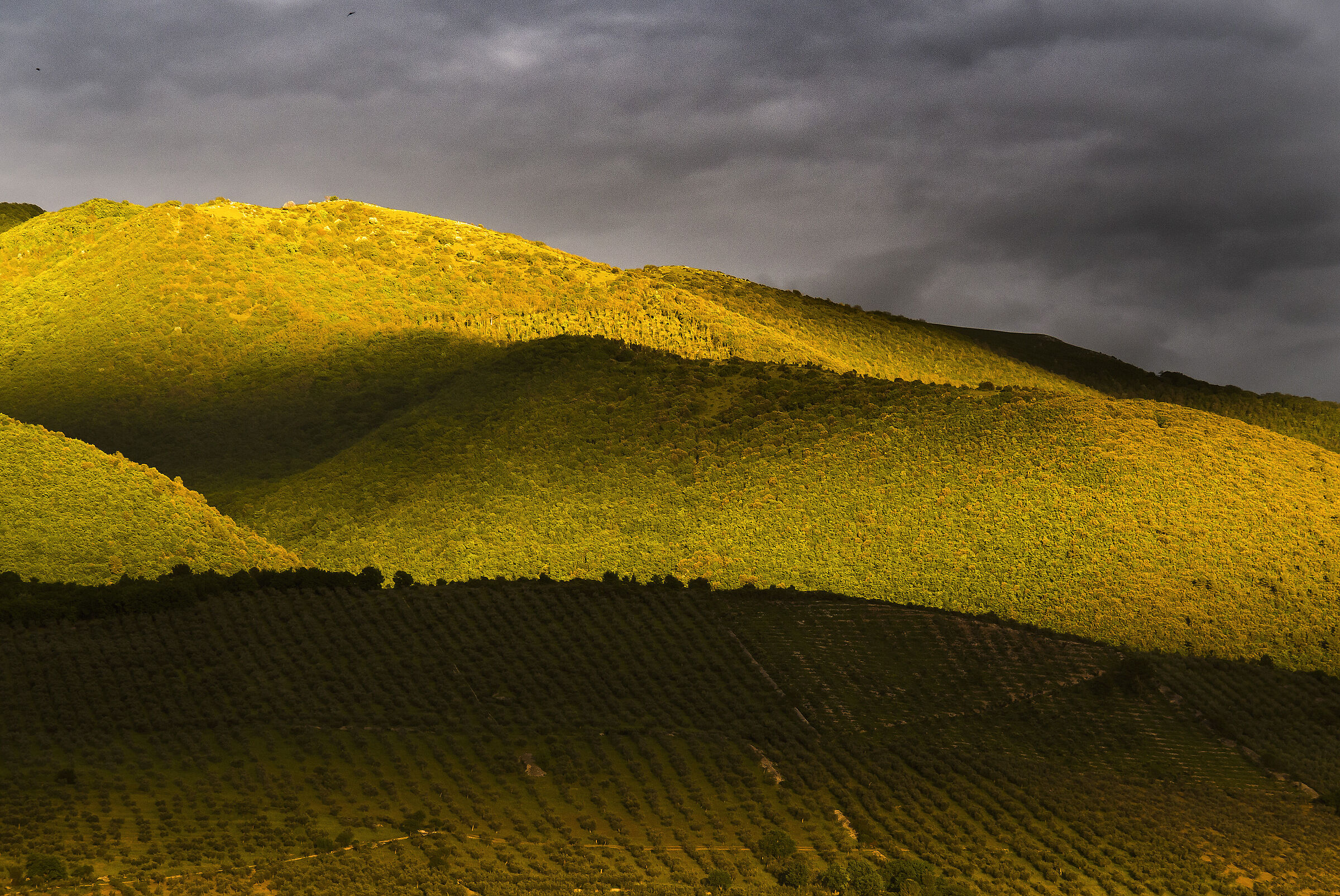 The other side of autumn