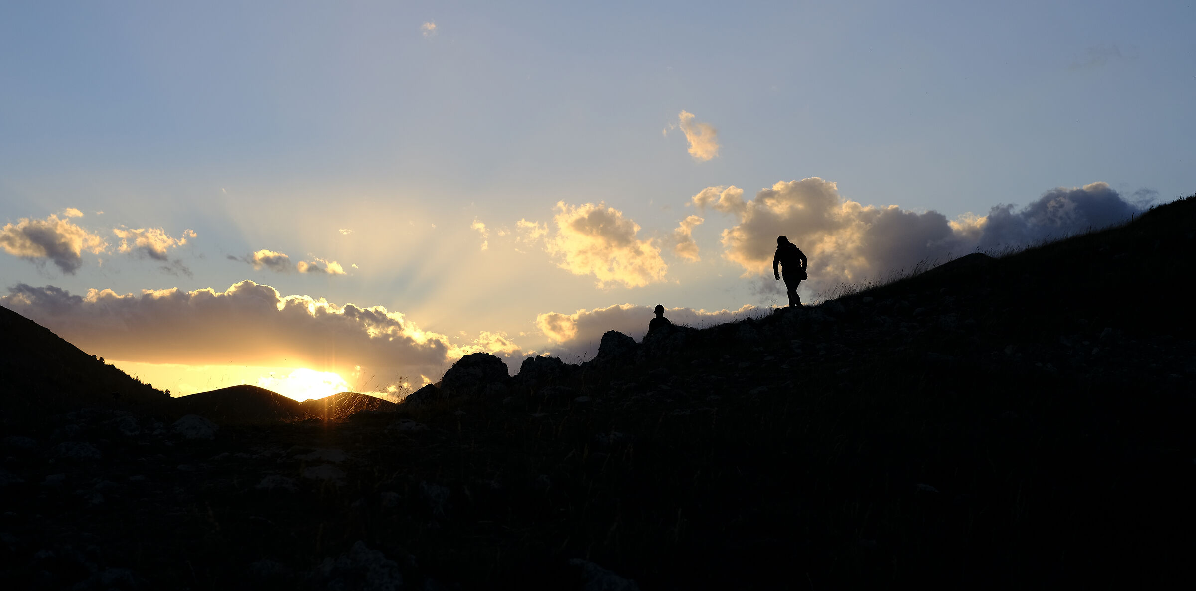 Silhouettes in the light