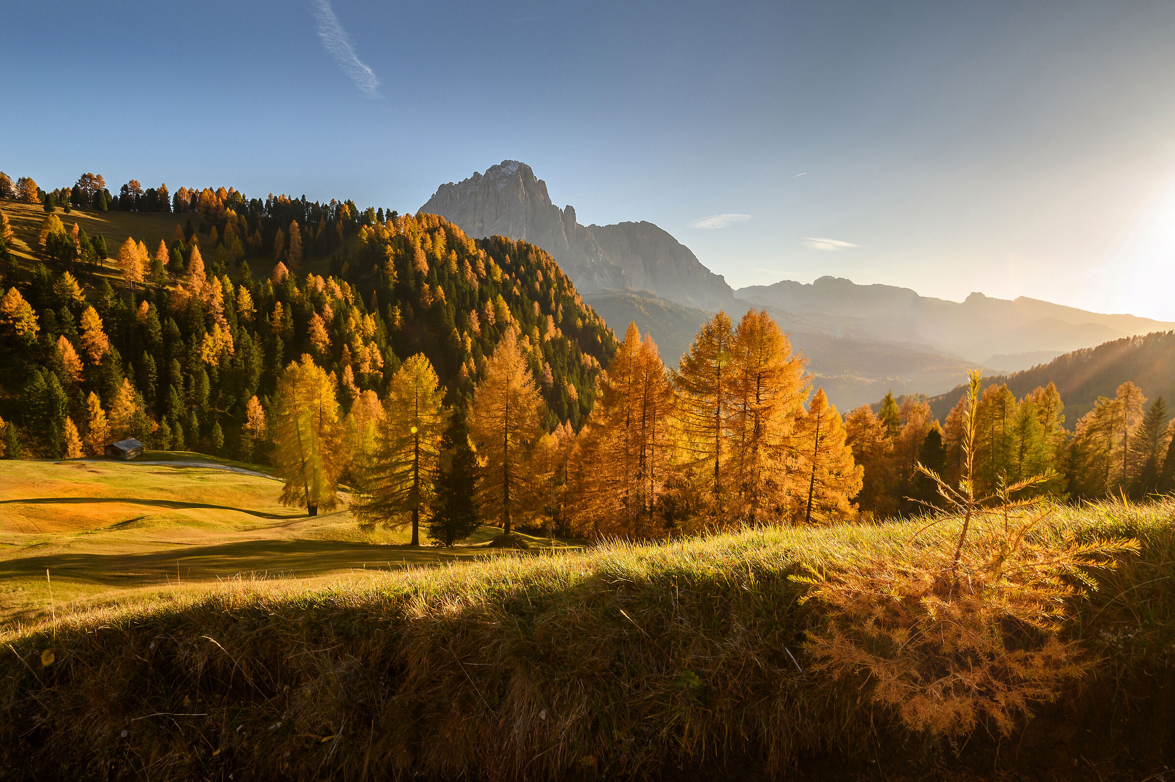 Cartoline d'Autunno