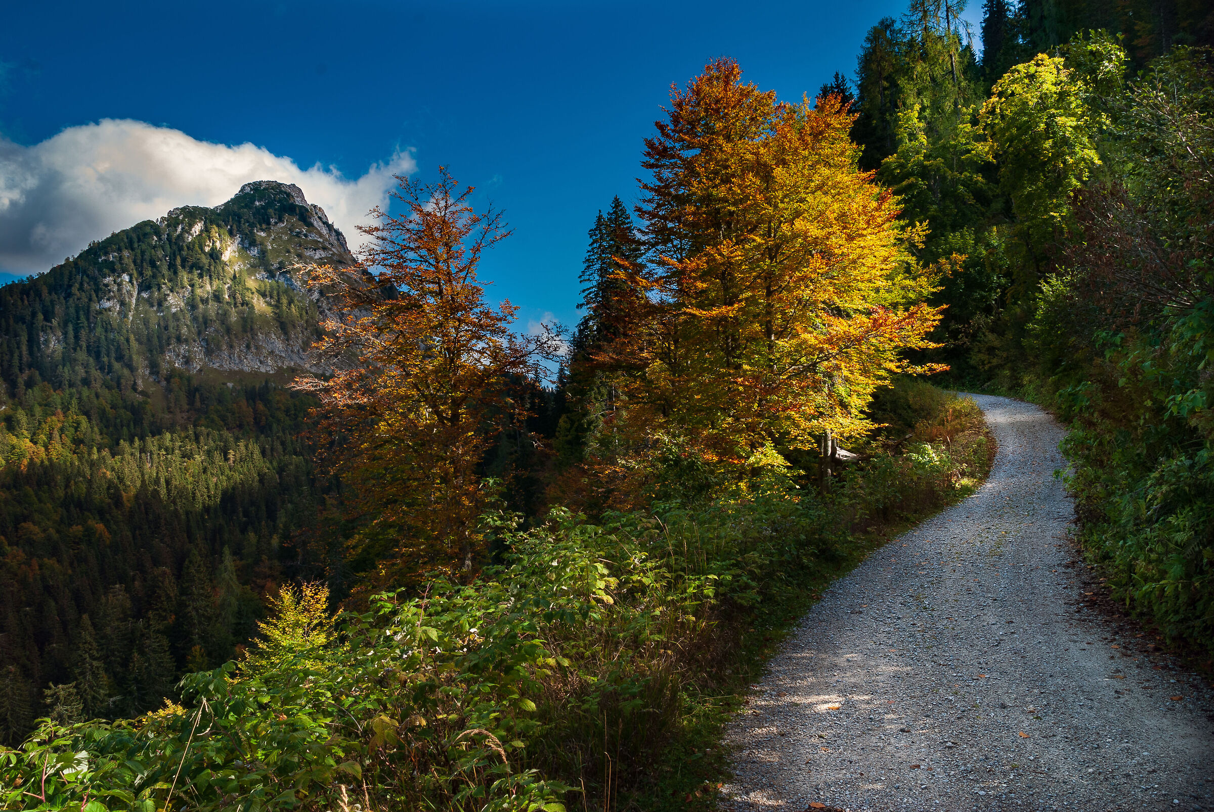 Towards Monte Tuglia