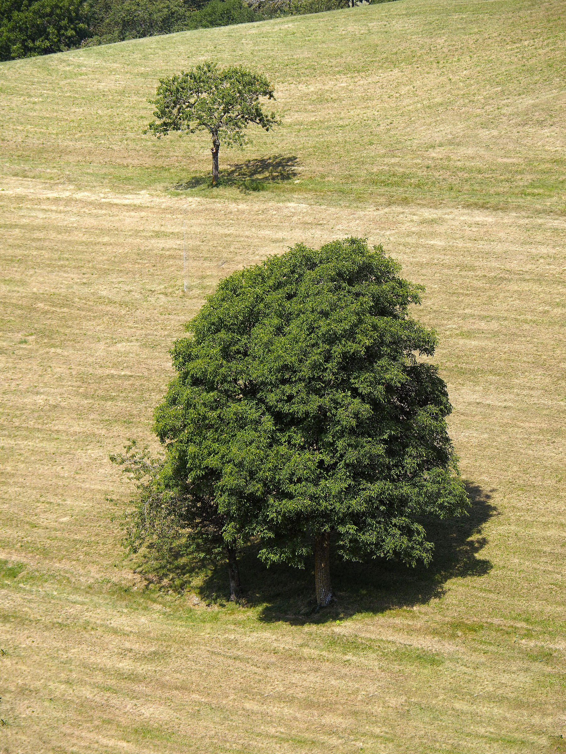 I'm small but I'll grow up!