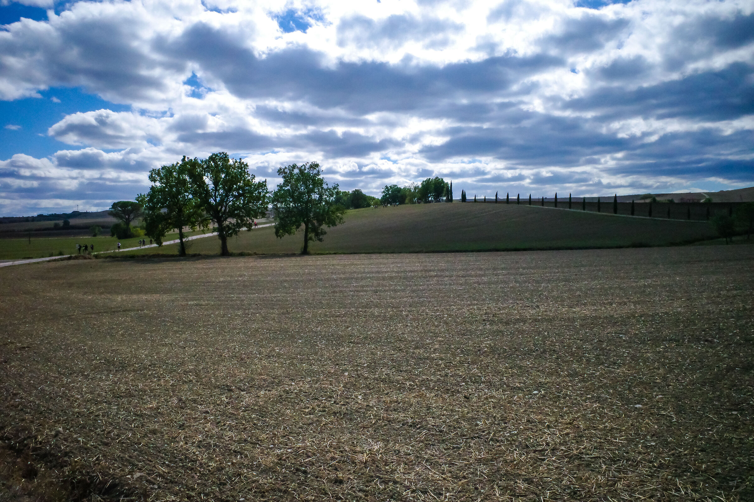 Via francigena
