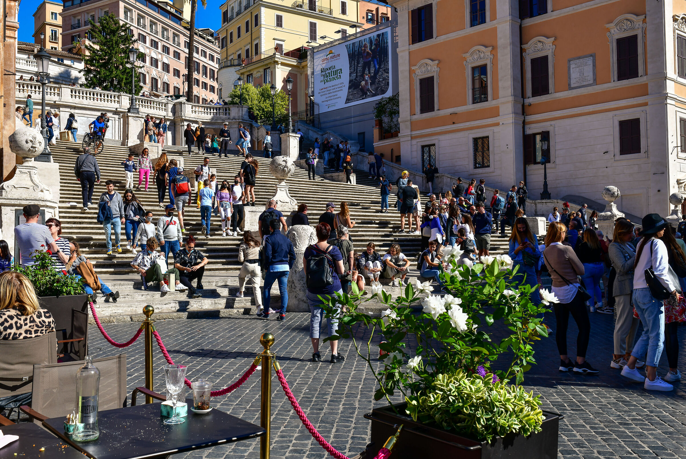 Rome, the... mess!!