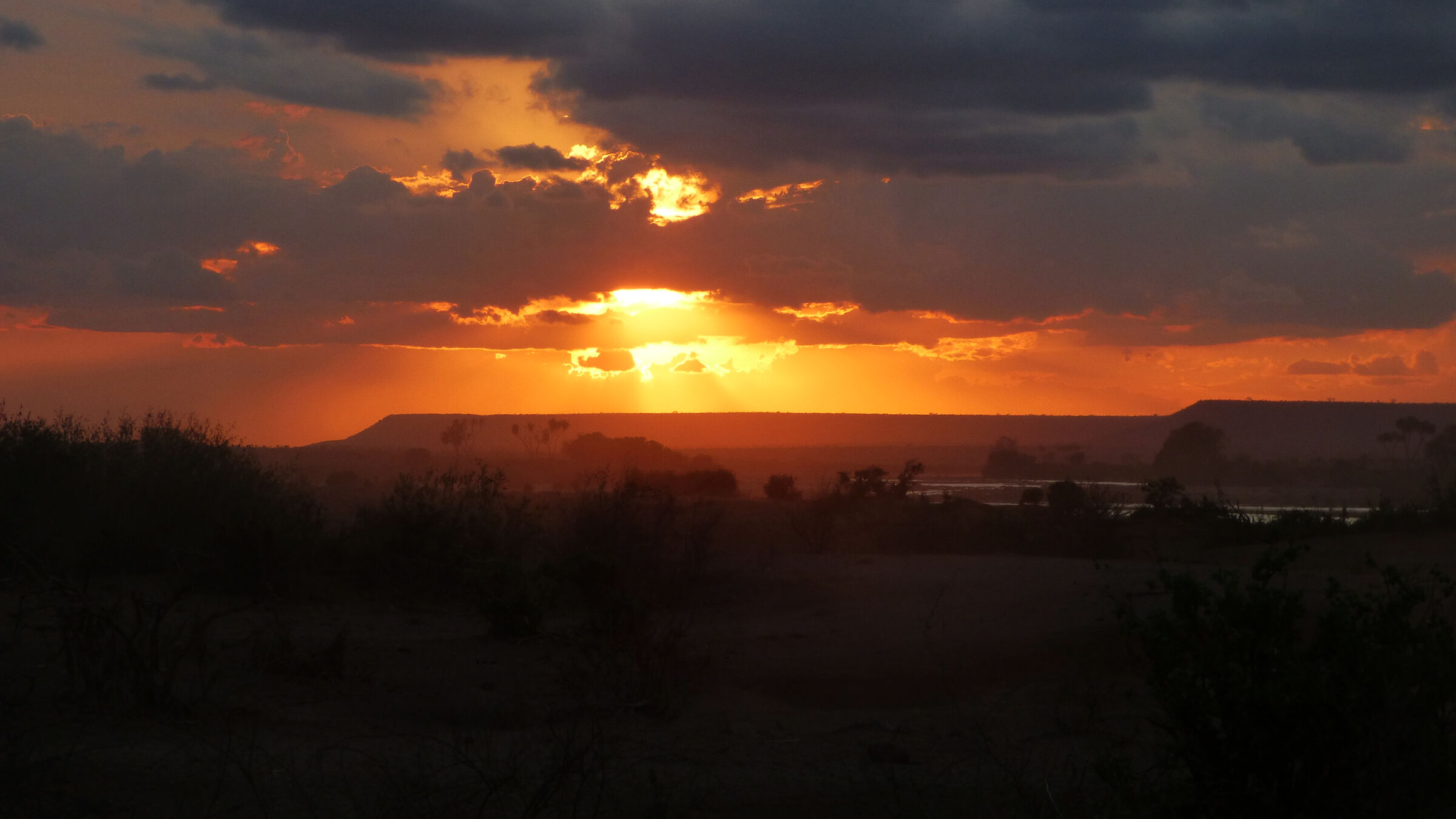 Sunset Savannah