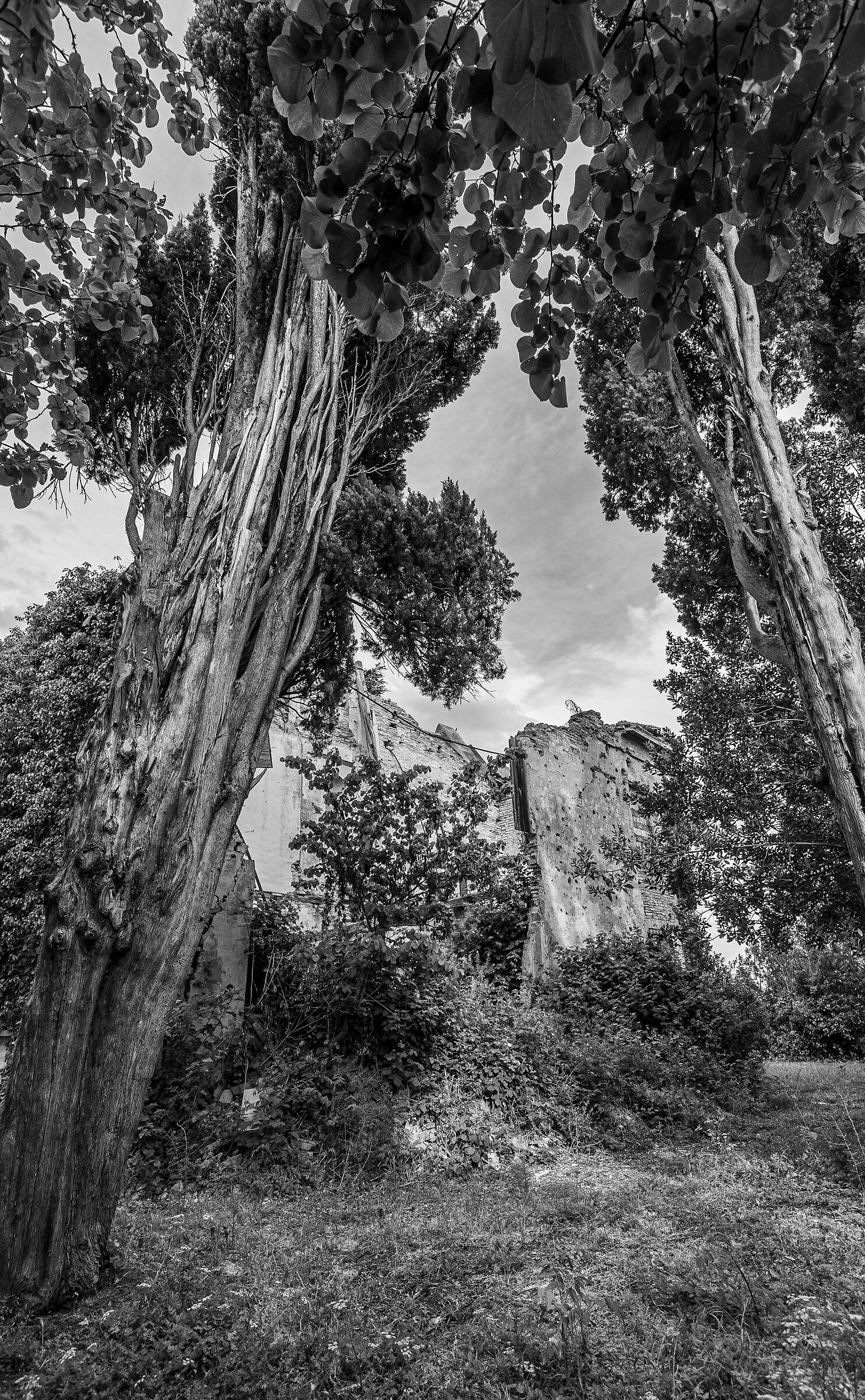 Villa Emilia - Cesena