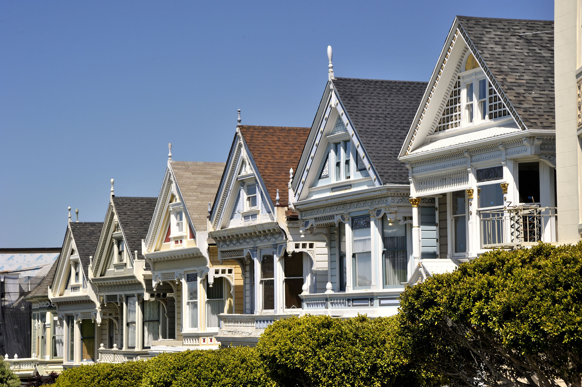 Painted Ladies