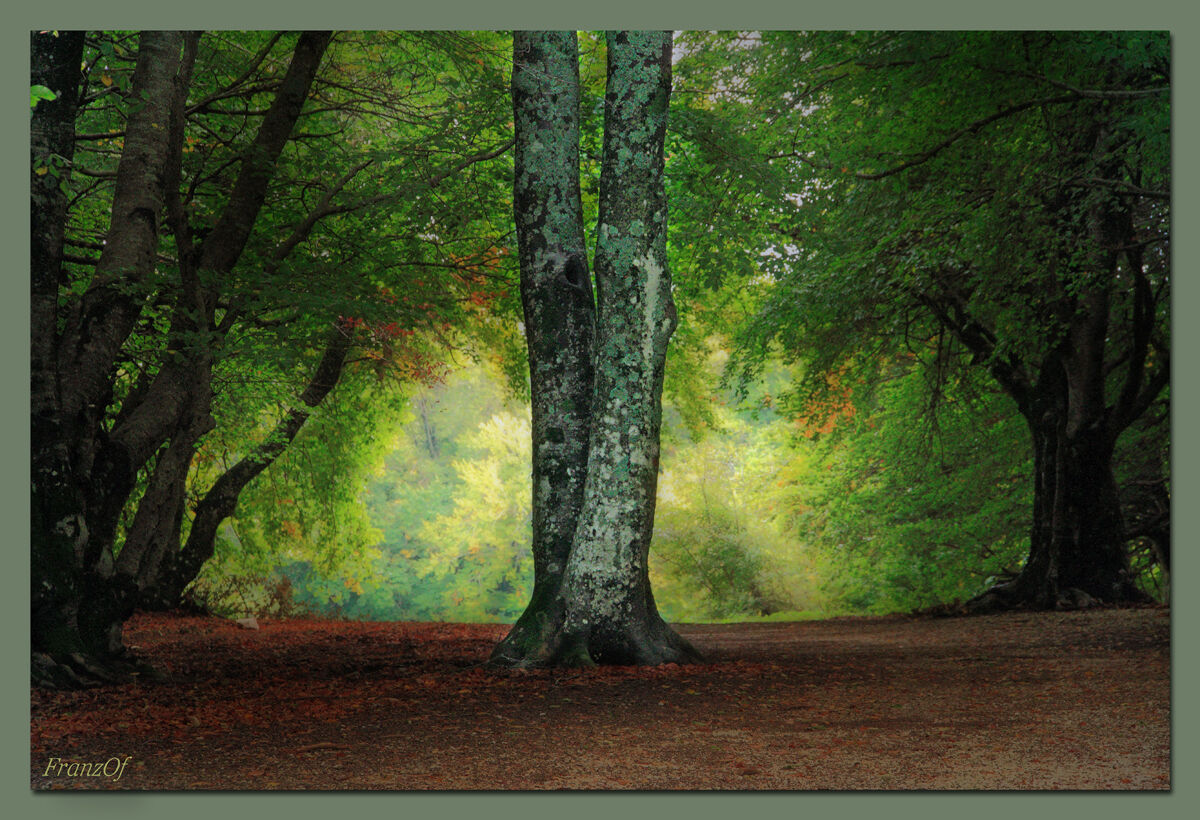 Everything you have created gives you praise.