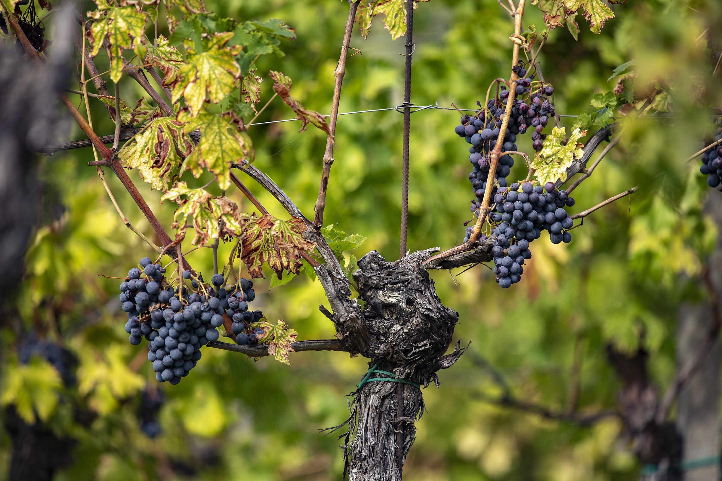 Autumn is just around the corner