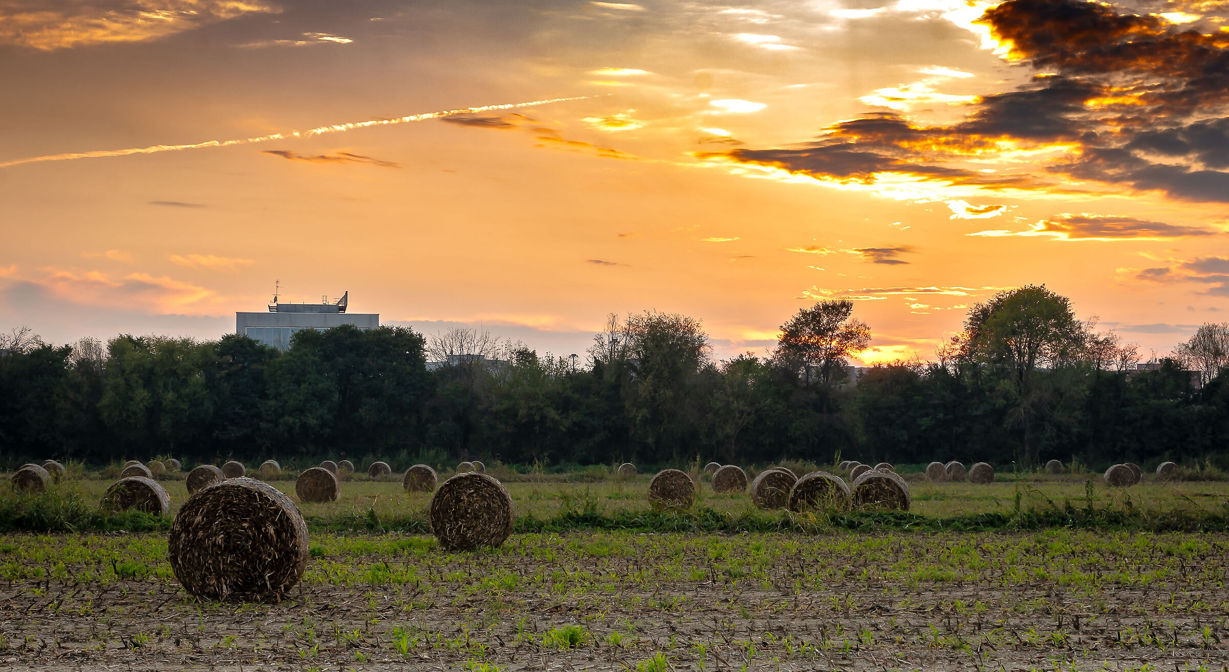 Milano è anche questa