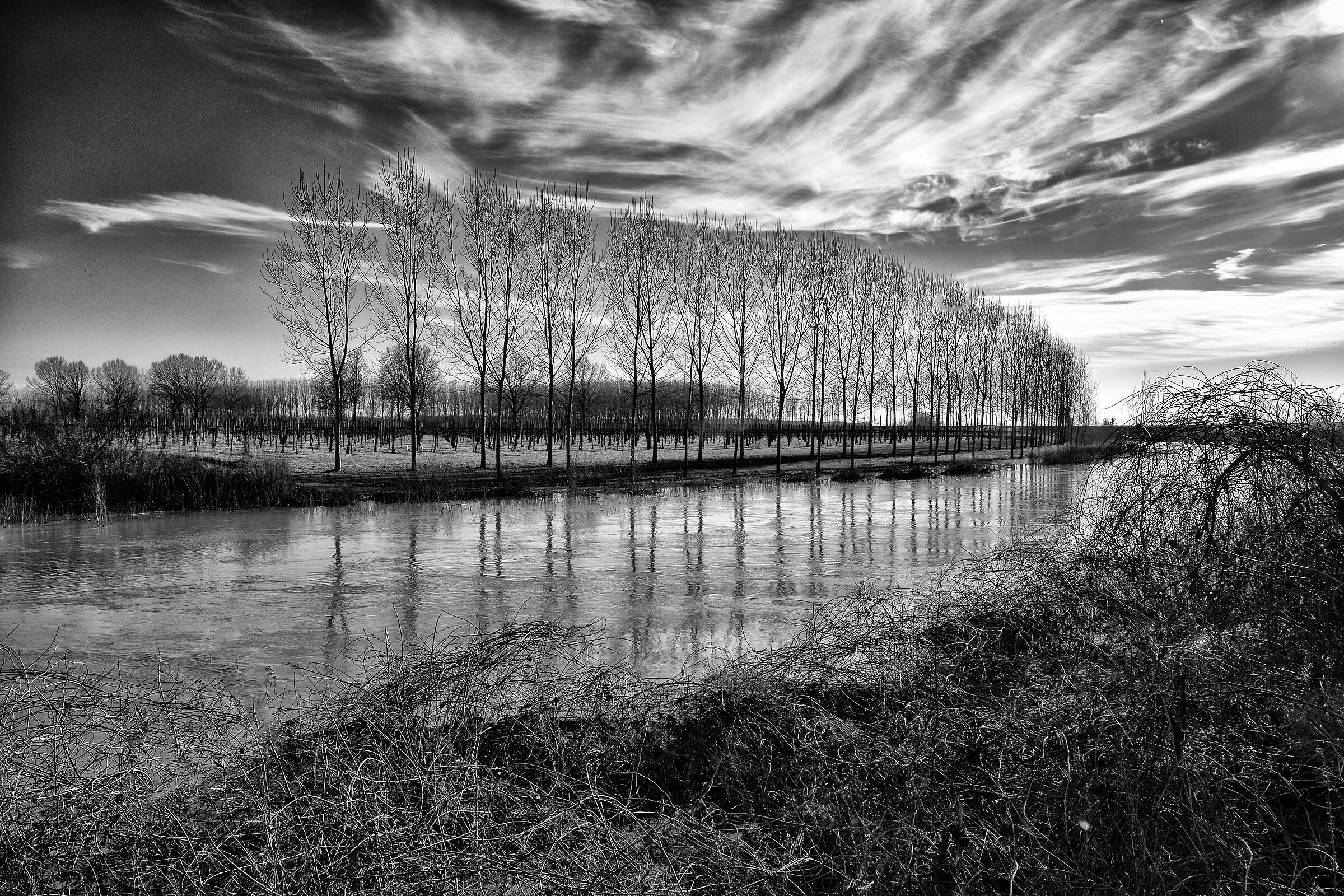 Flood of the river Secchia