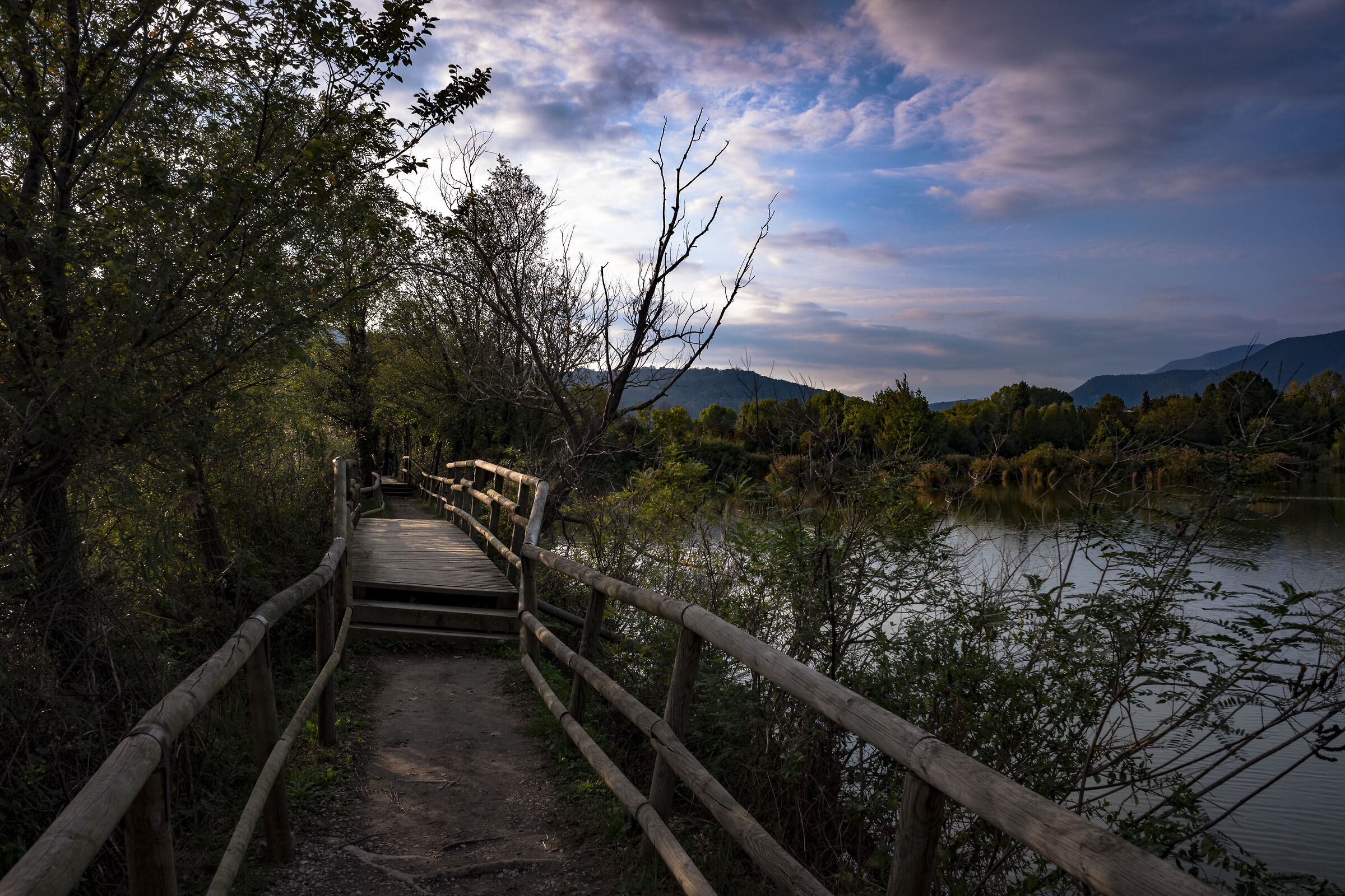 Crepuscolo in torbiera