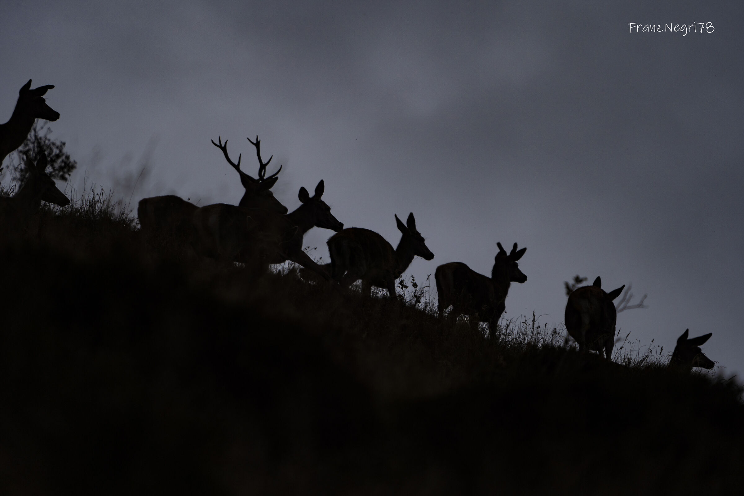 Nel silenzio tutto inizia nel silenzio tutto finisce.