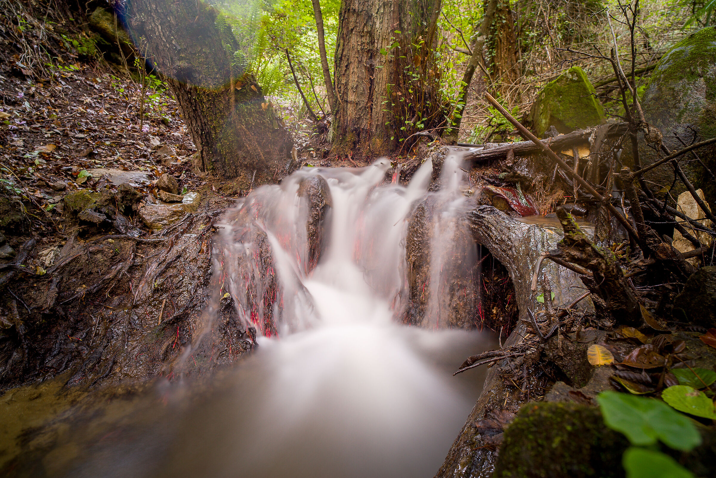 Waterfall Great River Corno (San Pietro in Guarano -CS)
