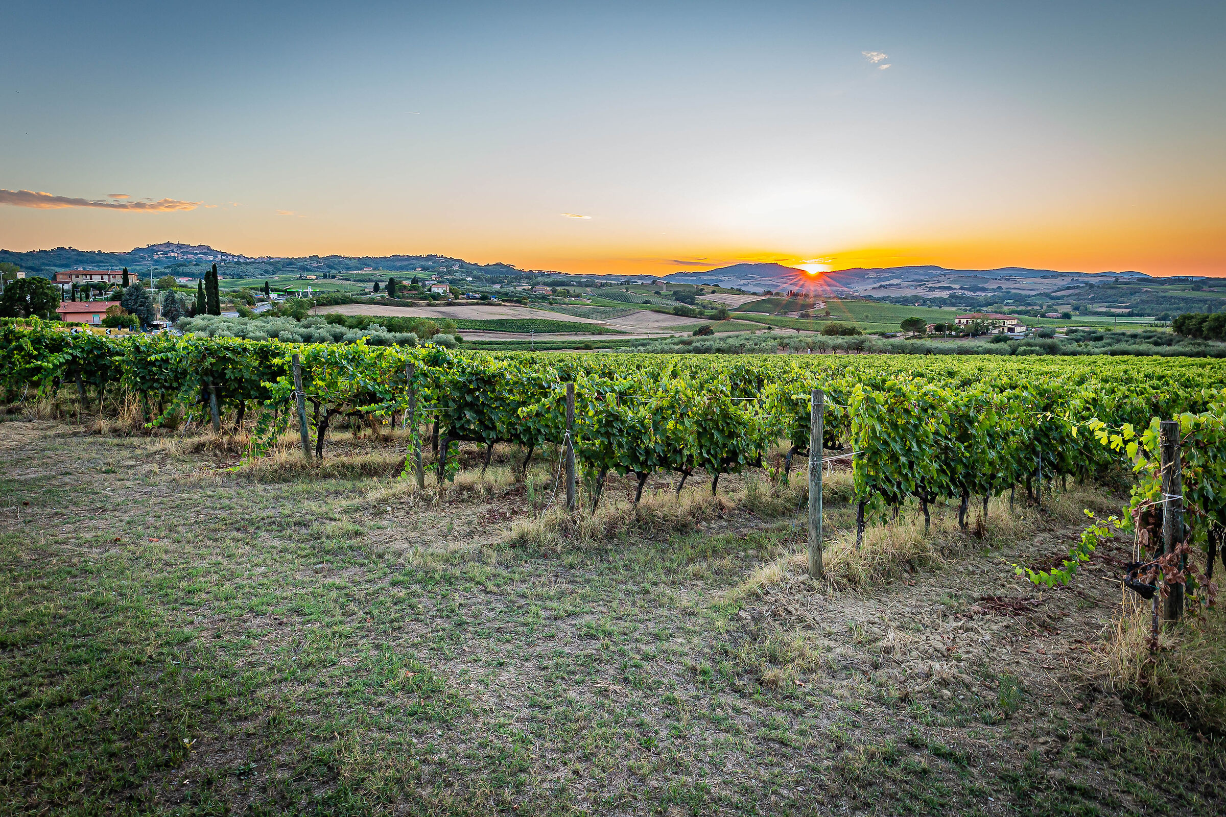 Montepulciano at Sunset