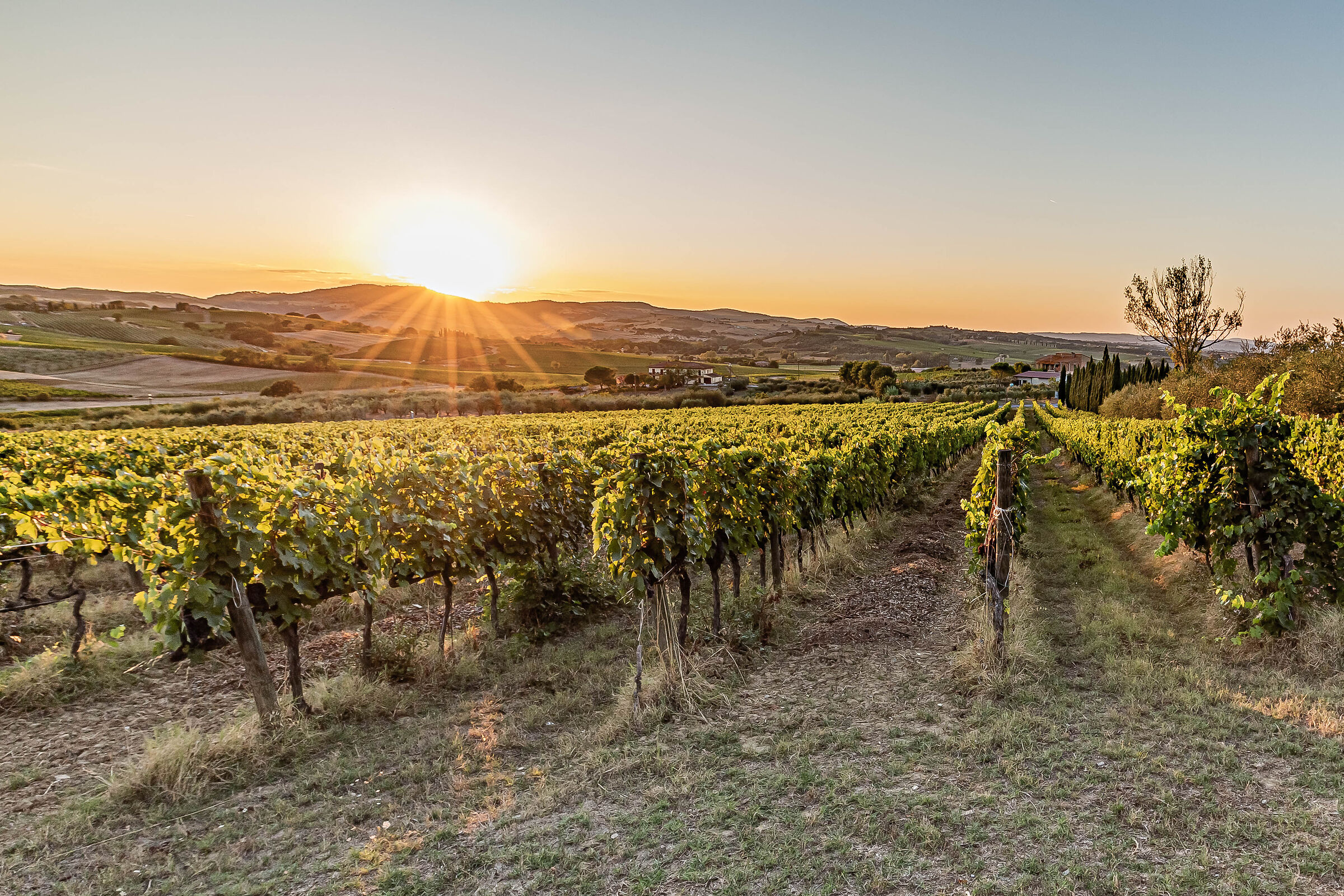 Montepulciano at Sunset 2