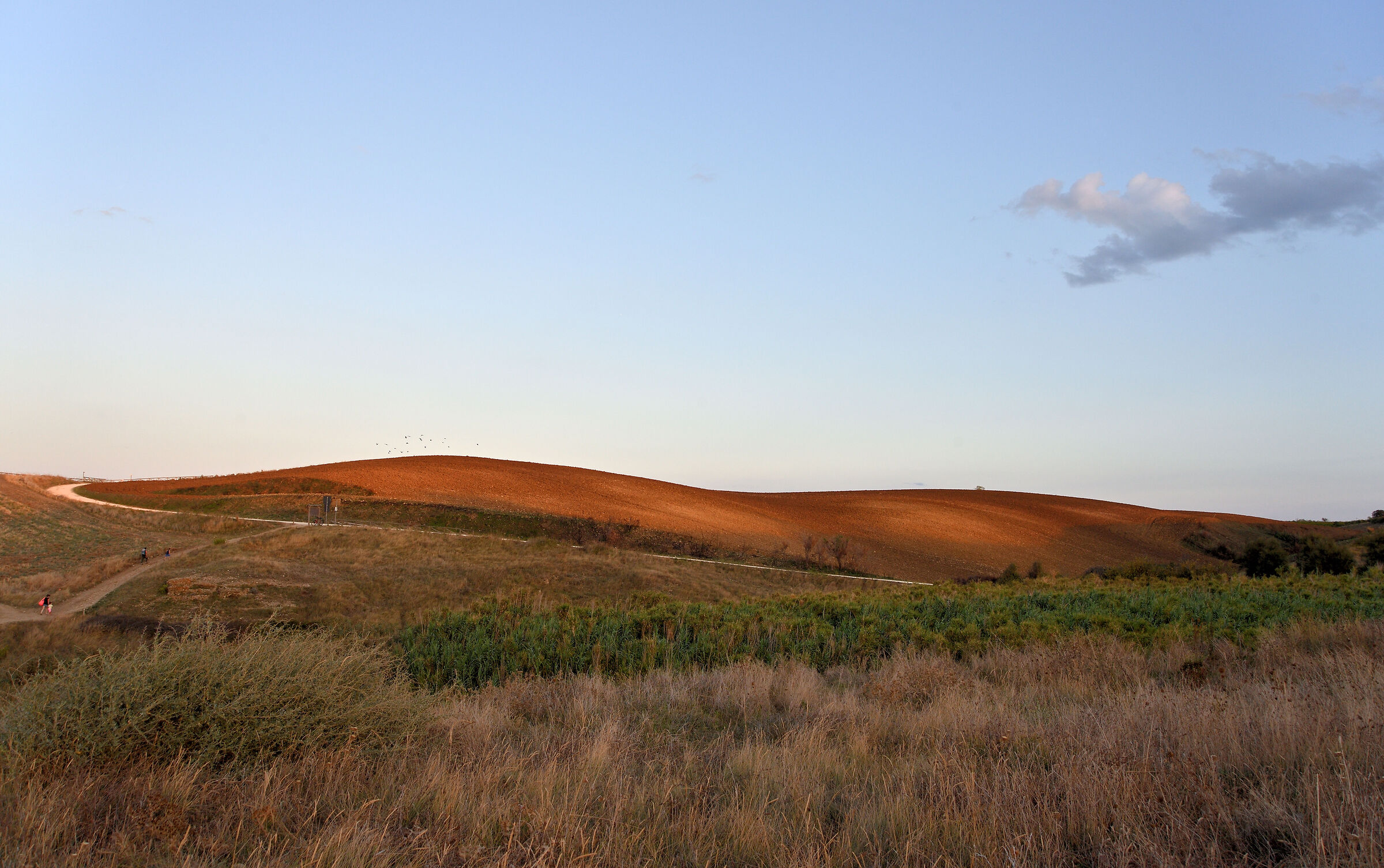 Sunset in the reserve