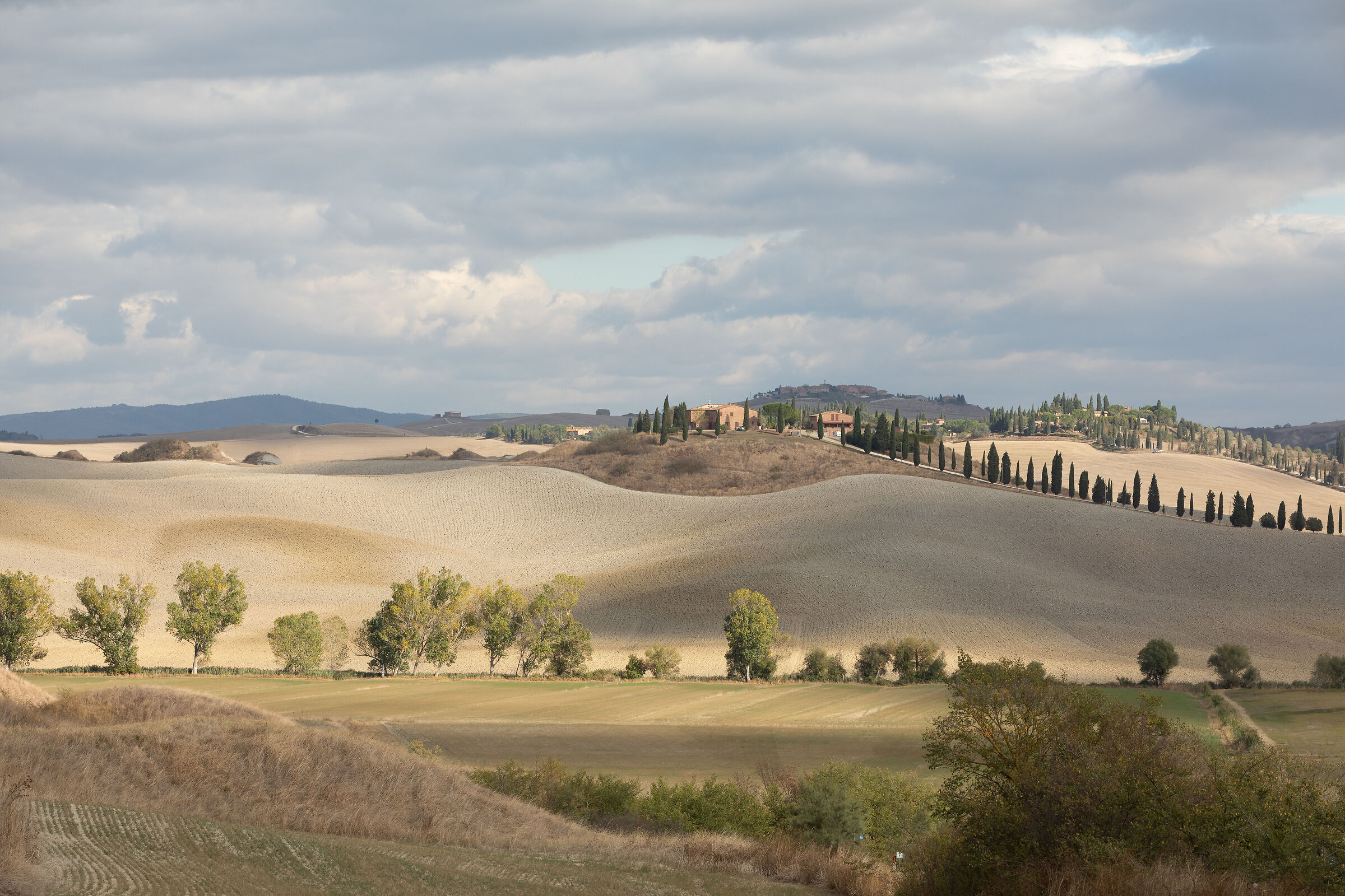 Le Crete Senesi