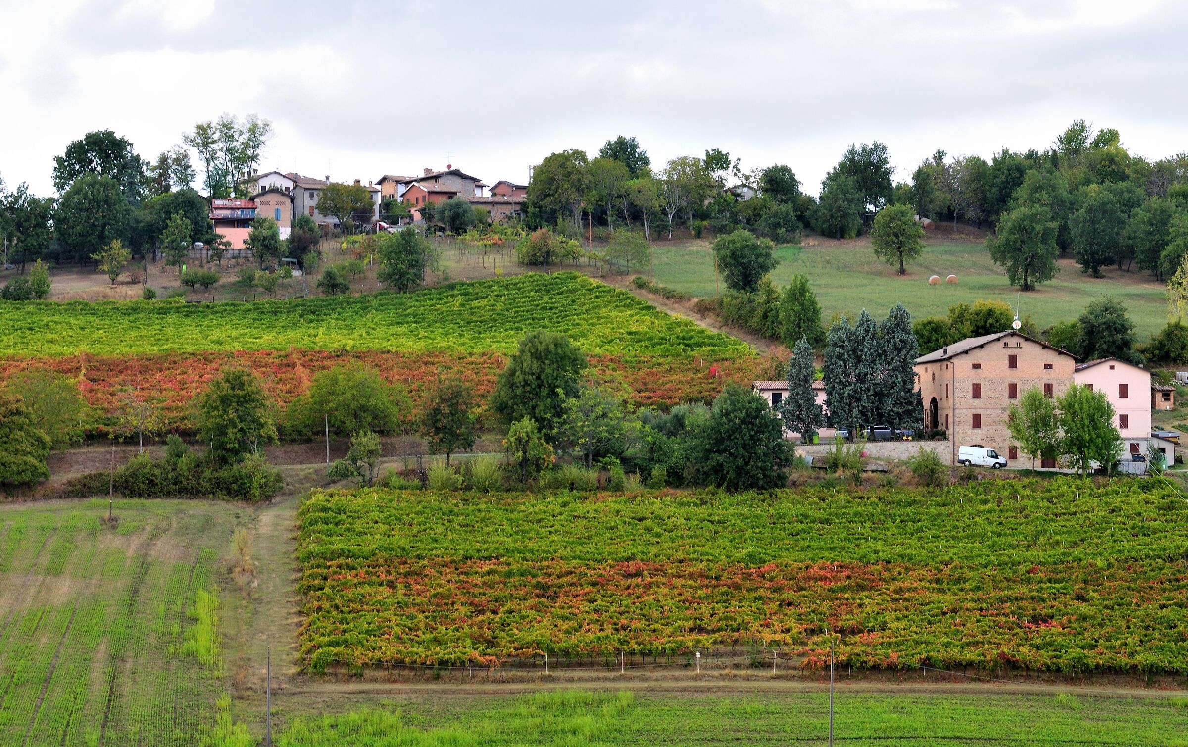 Levizzano Rangone and its vineyards in autumn