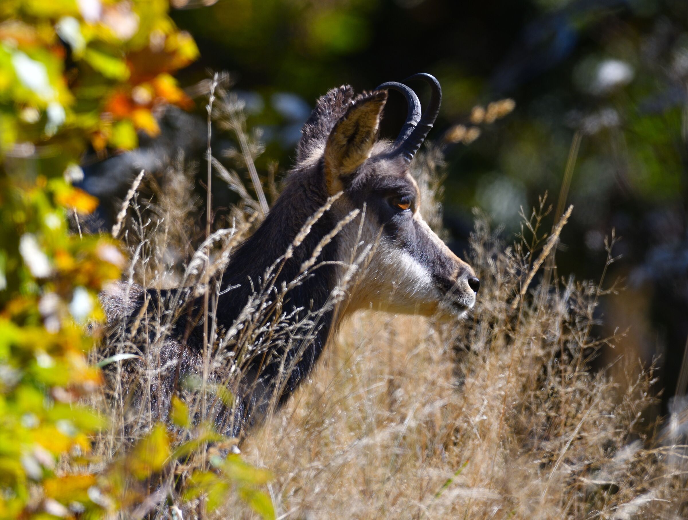 incontri ravvicinati...