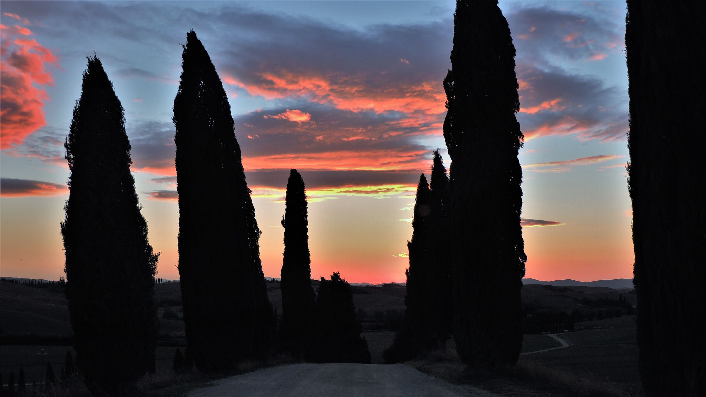cipressi D'Orcia..