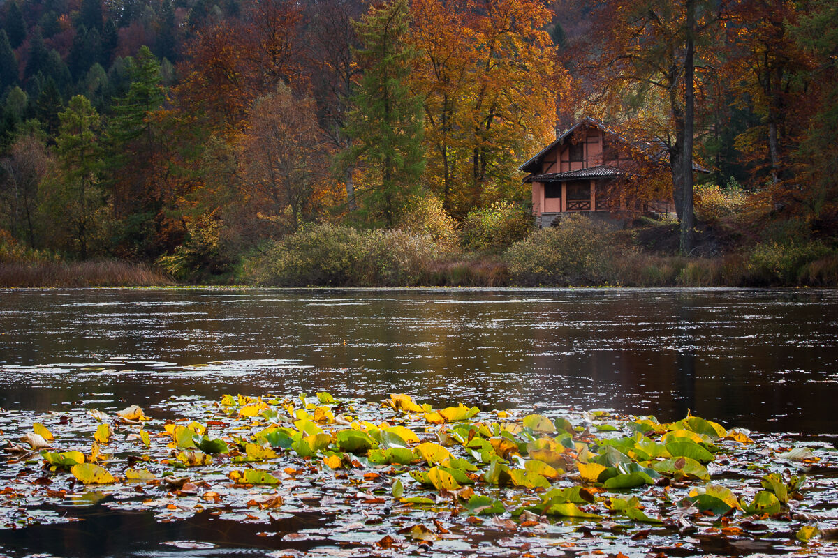 The small lake of fairy tales ...