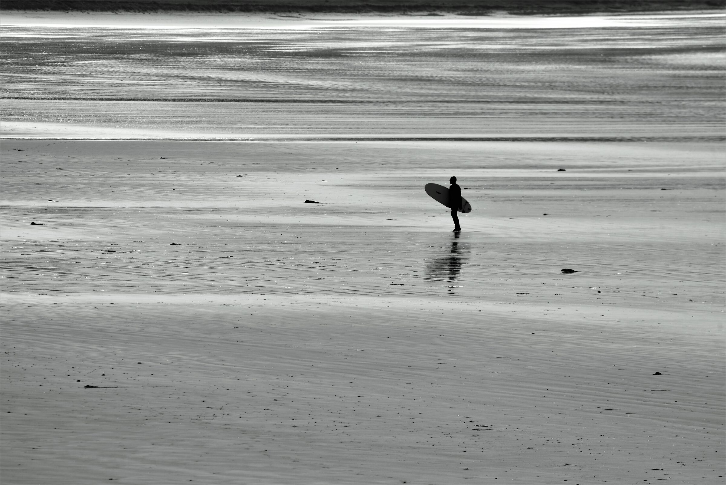 Where is the wave?