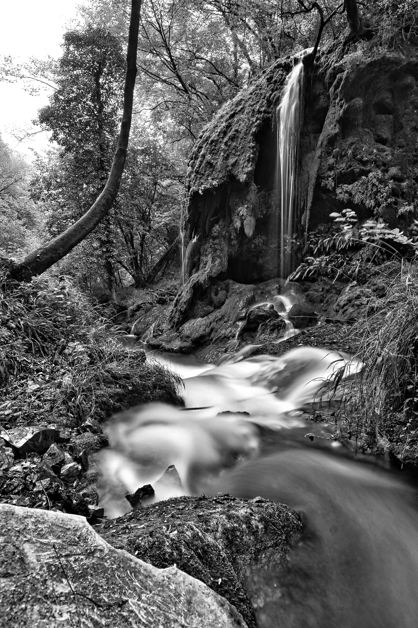 Gorge of the Canevai B/W