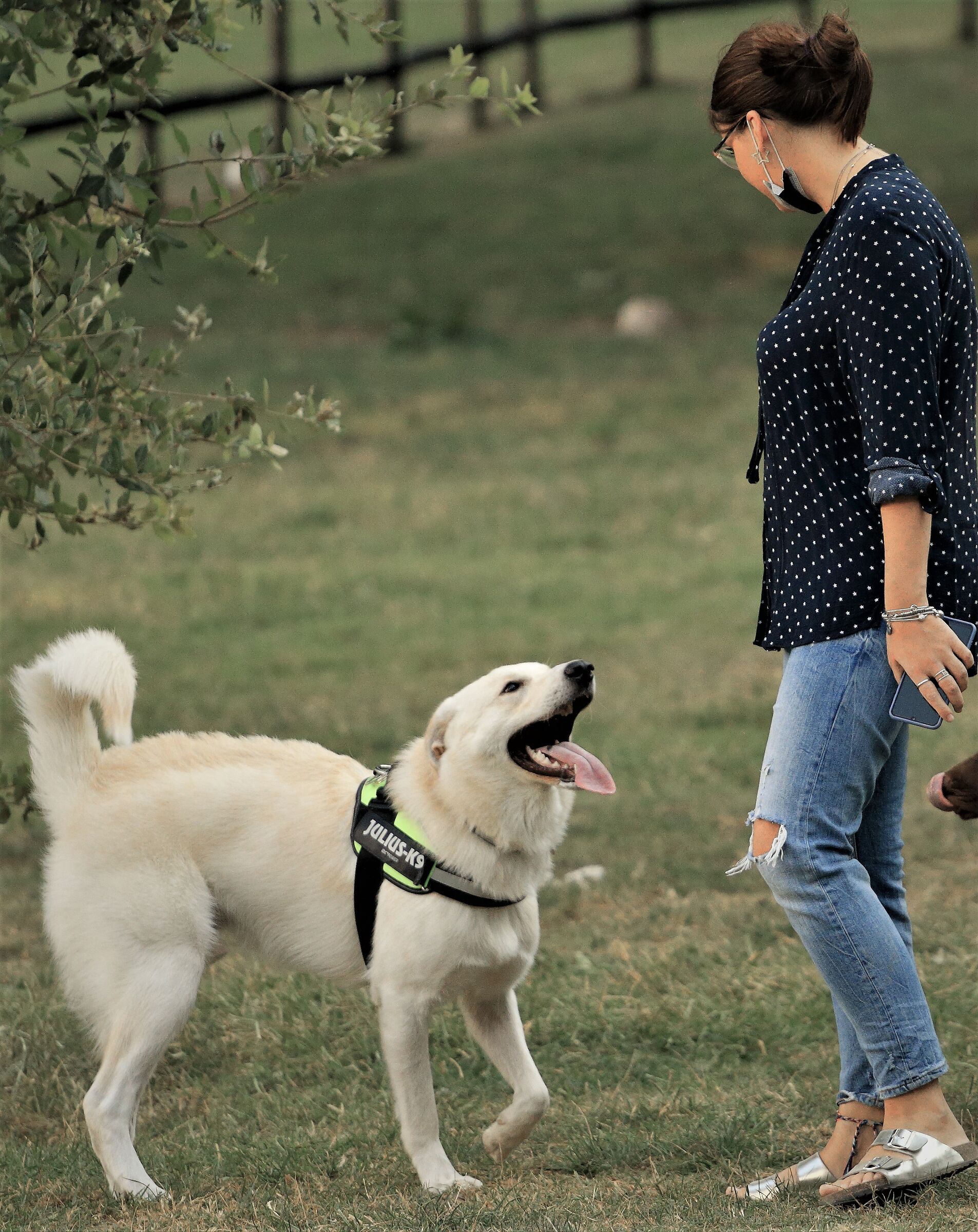 Day at the Real Bosco di Capodimonte