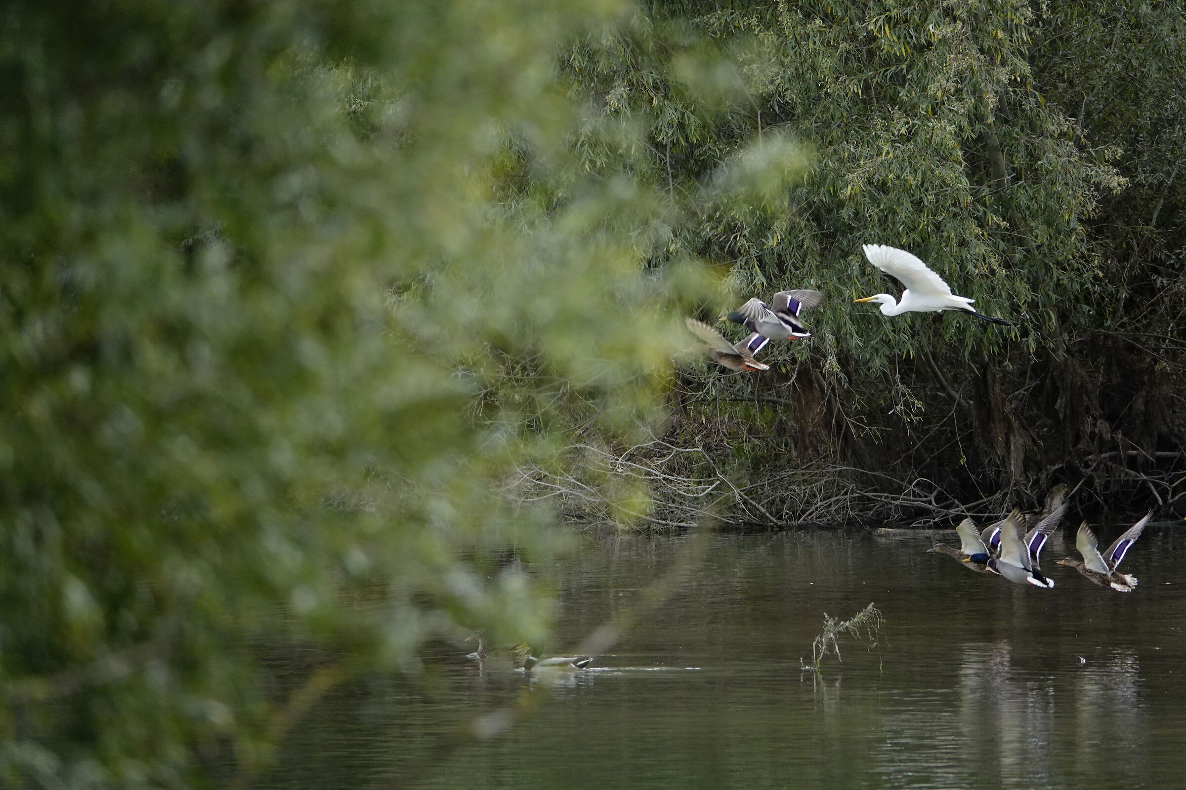 ALMOST PERFECT SYNCHRONISM