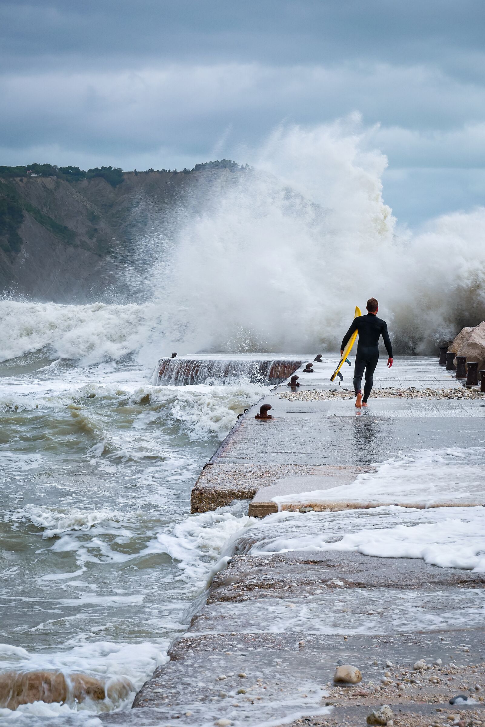 Bold Surfer