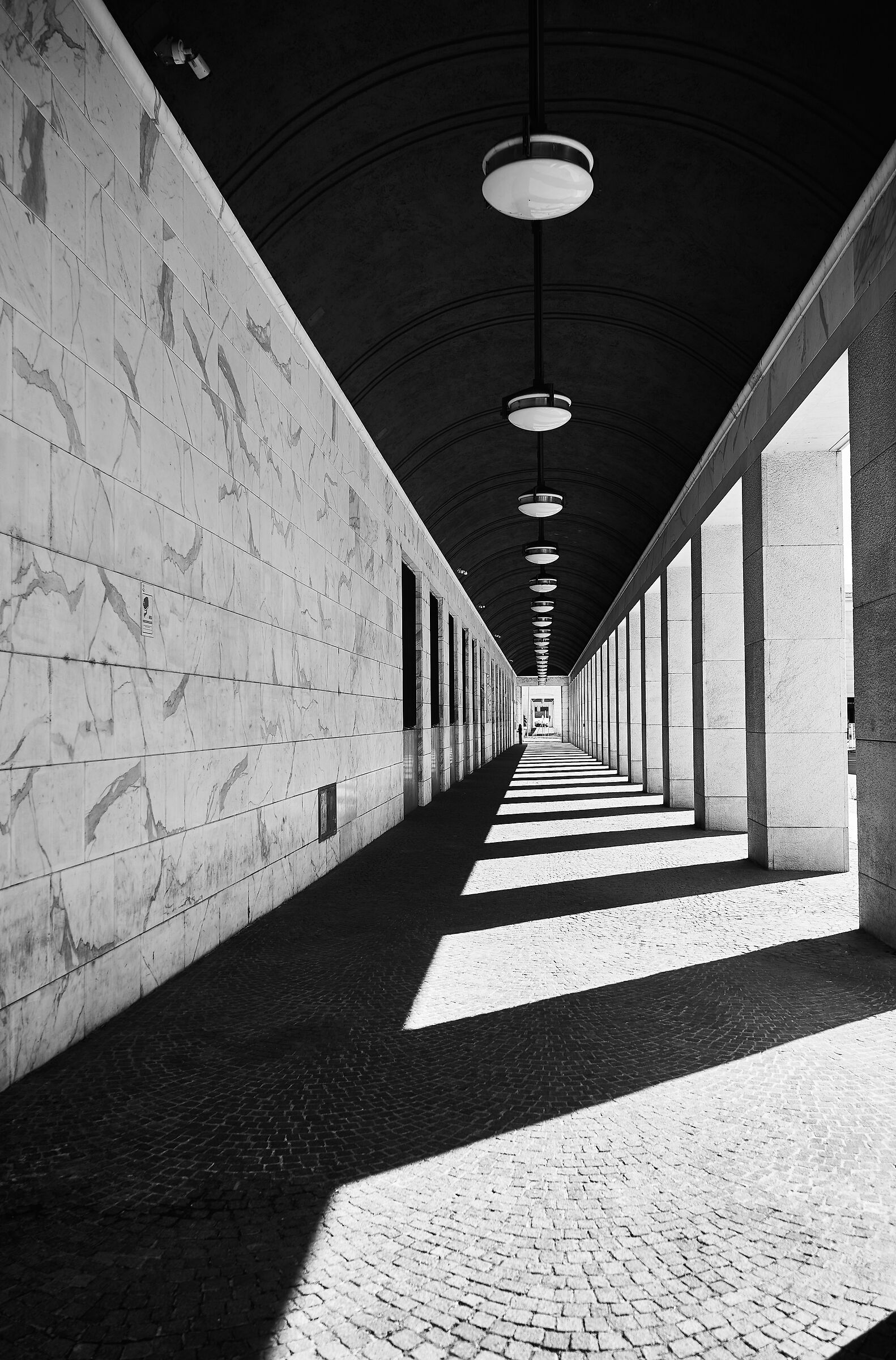 Untitled Photo