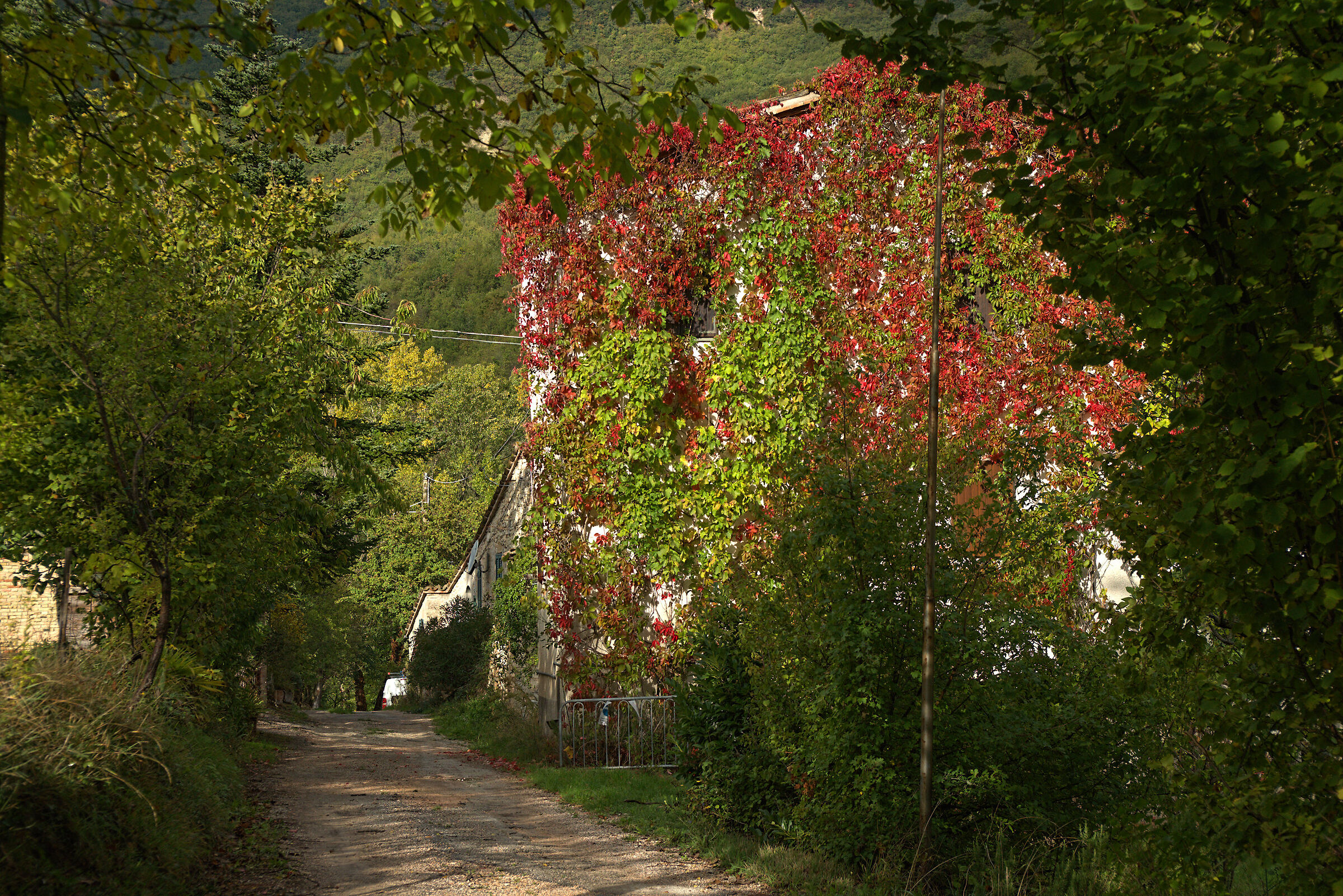 Country house