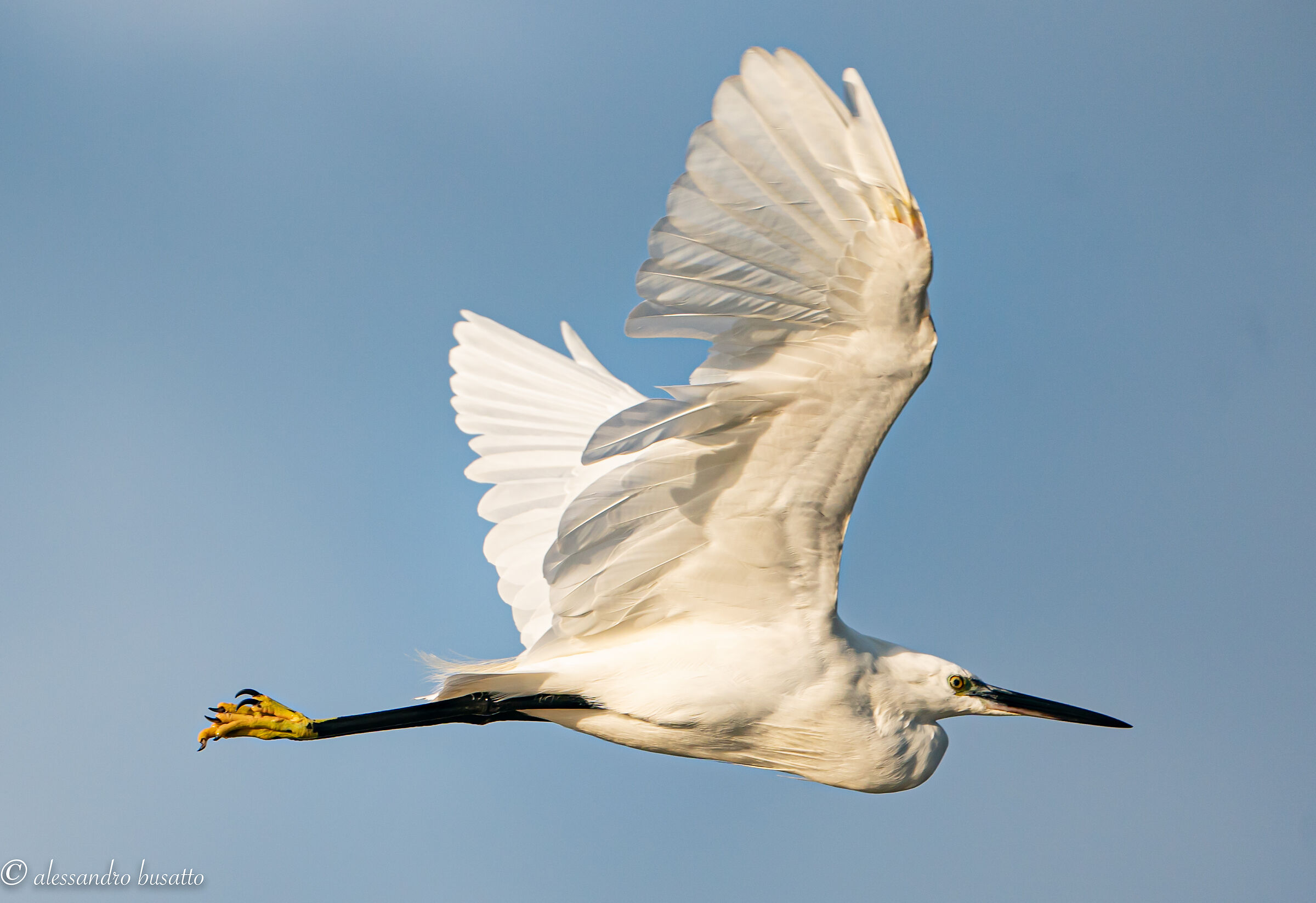 Flying 2