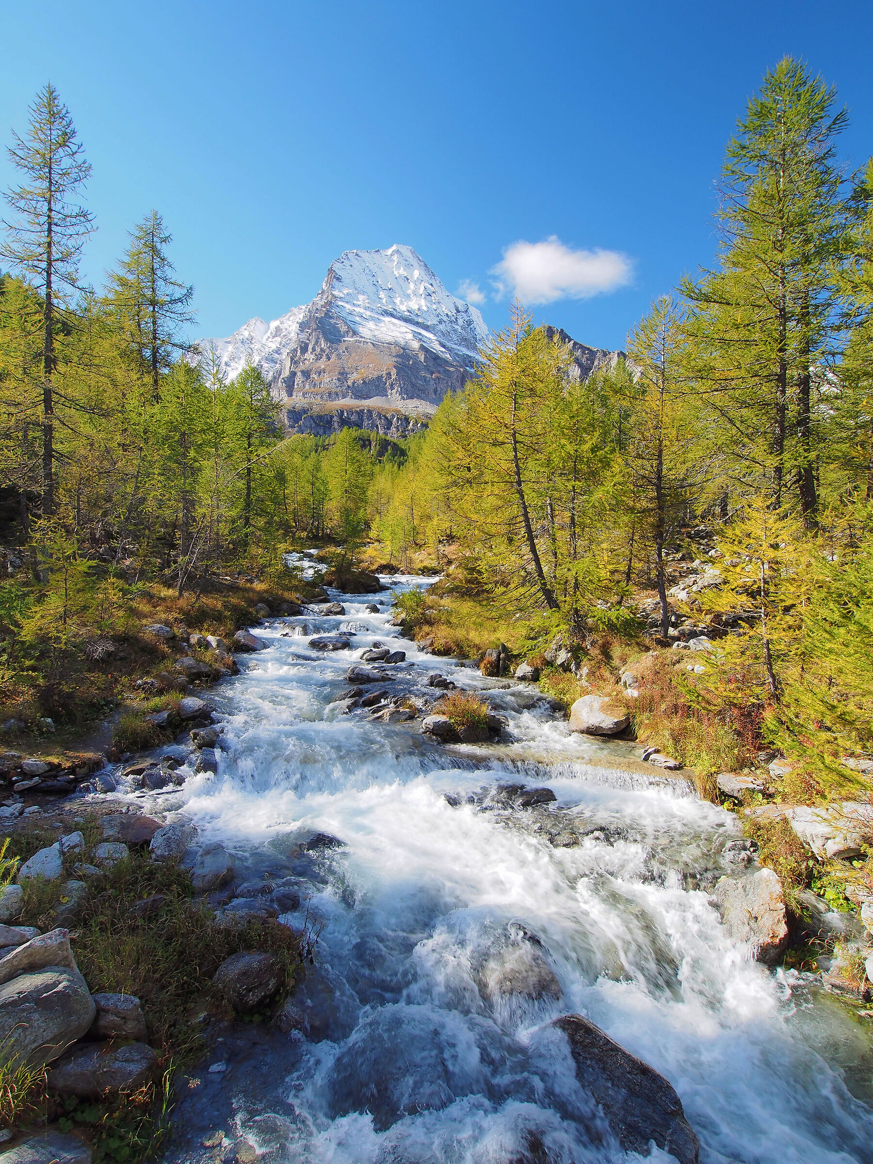 Rio Cianciavero and Monte Leone