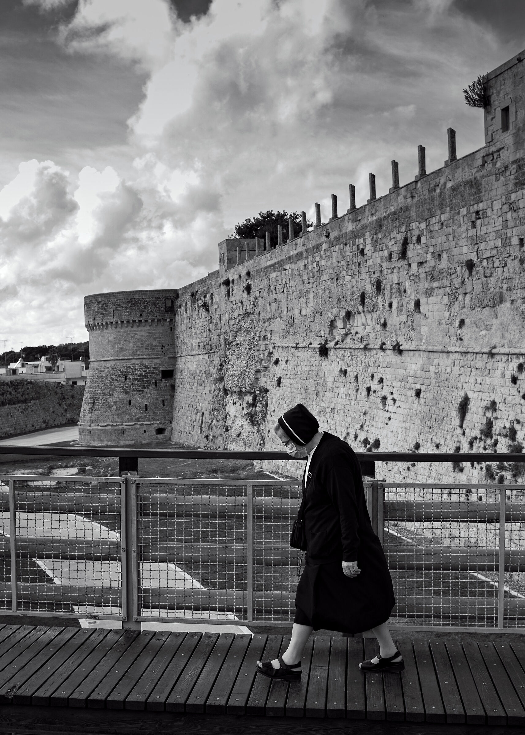 Endangered species (Otranto)