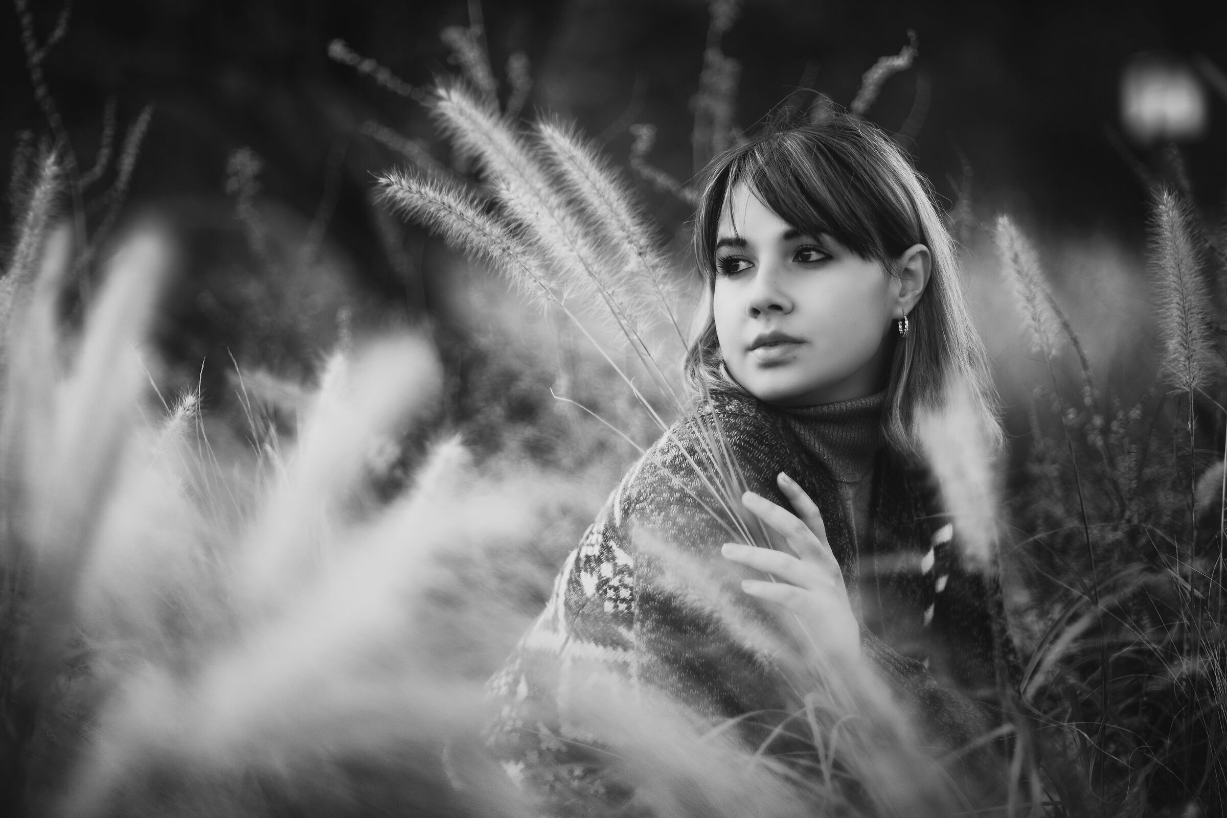 Uno sguardo al passato