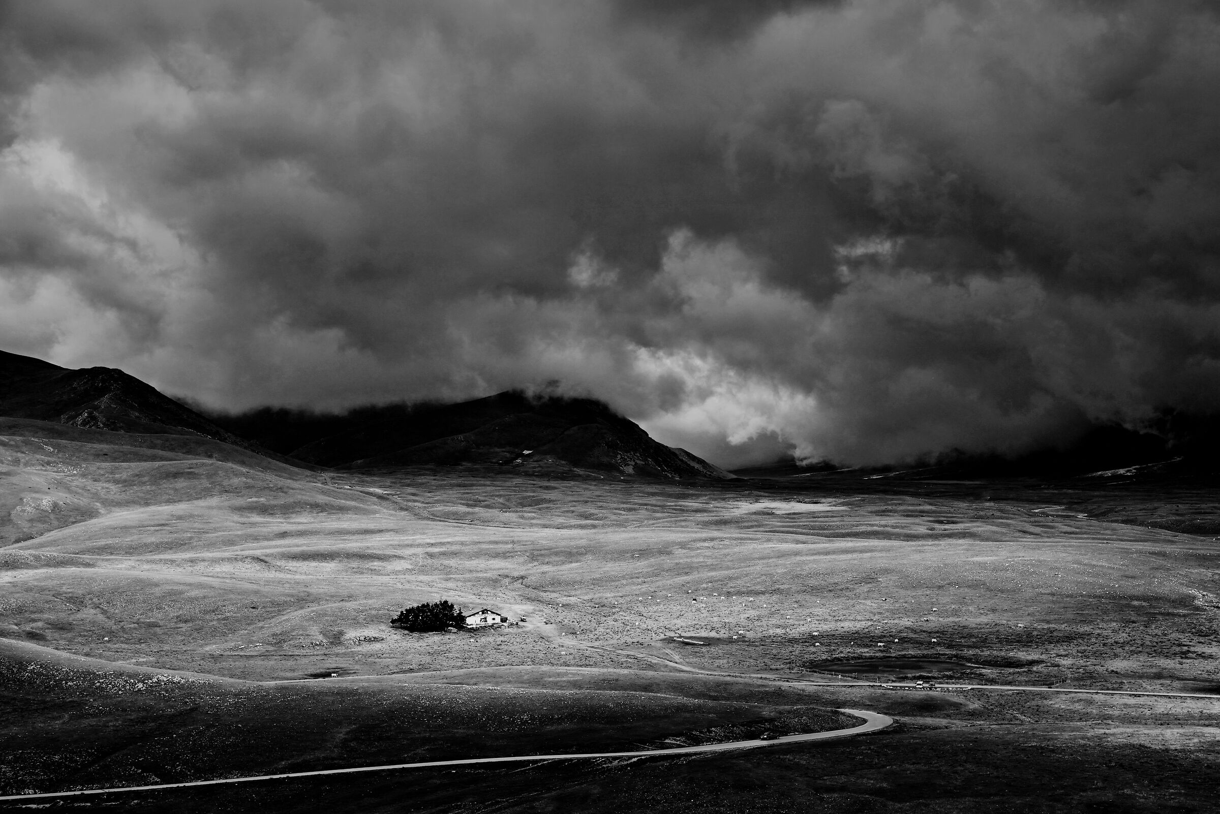 the Road and the Refuge