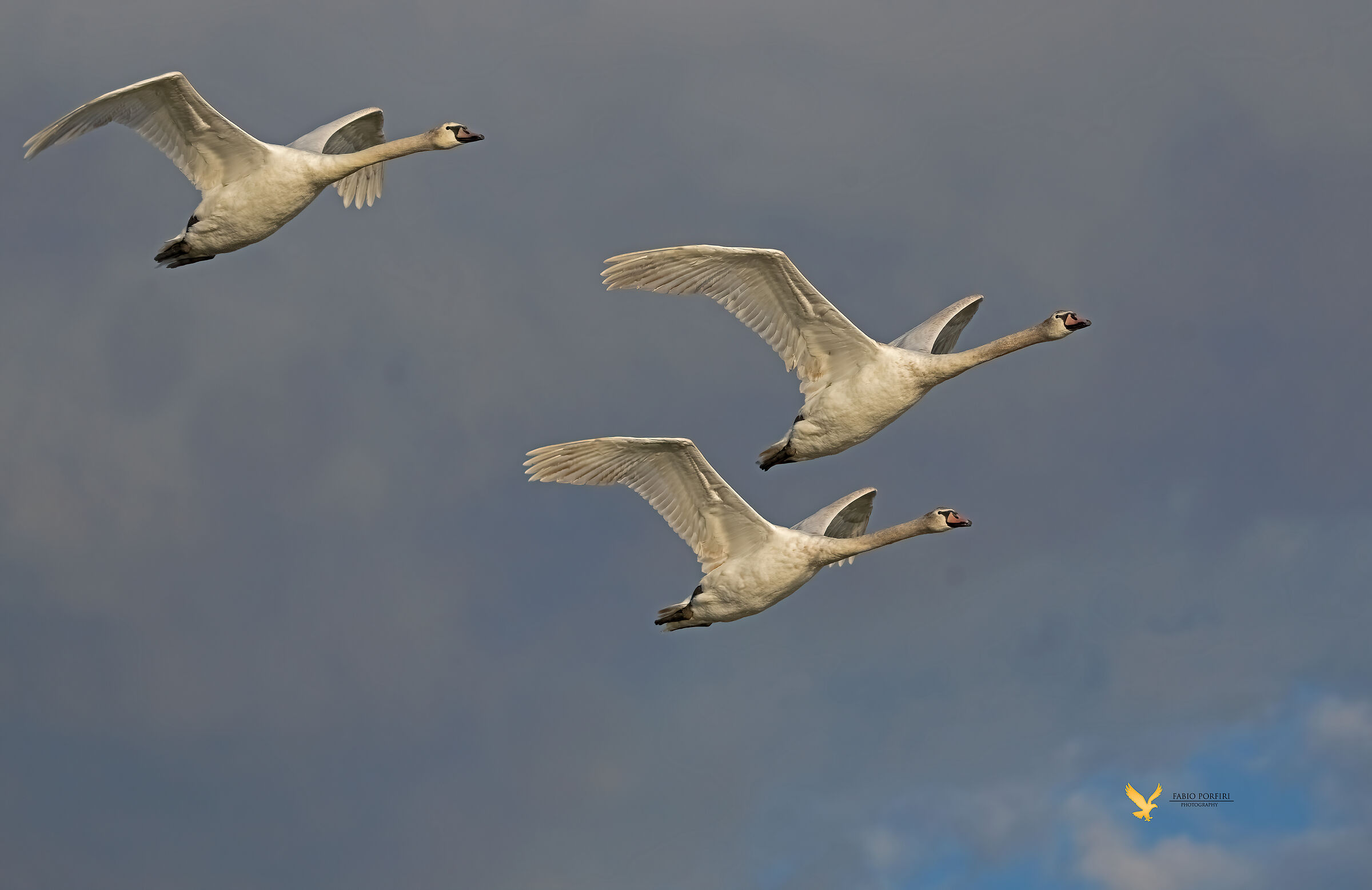 it's a matter of light.............