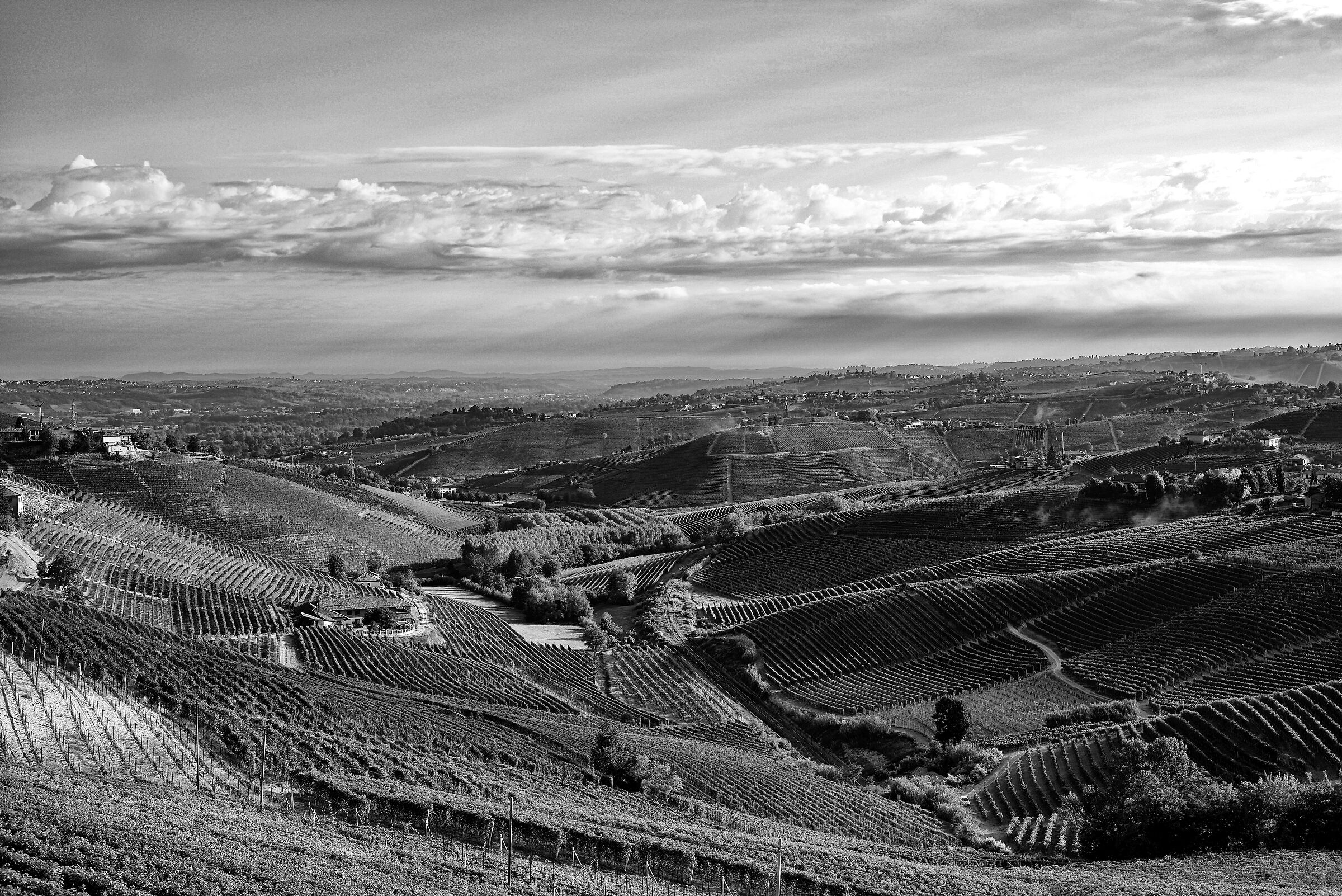I vigneti delle Langhe