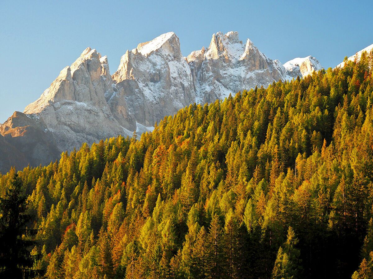 Monti pallidi al mattino