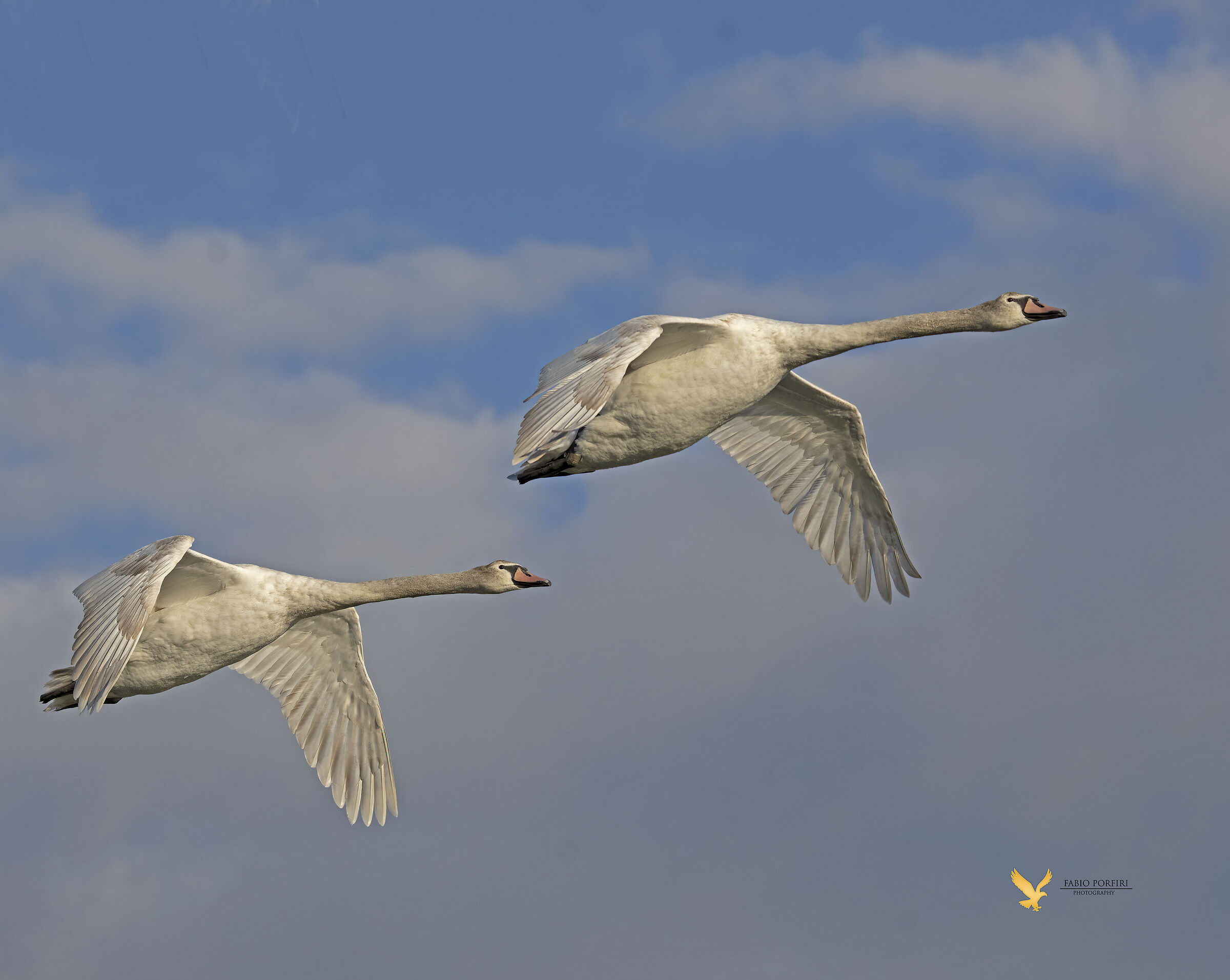 è questione di luce.............