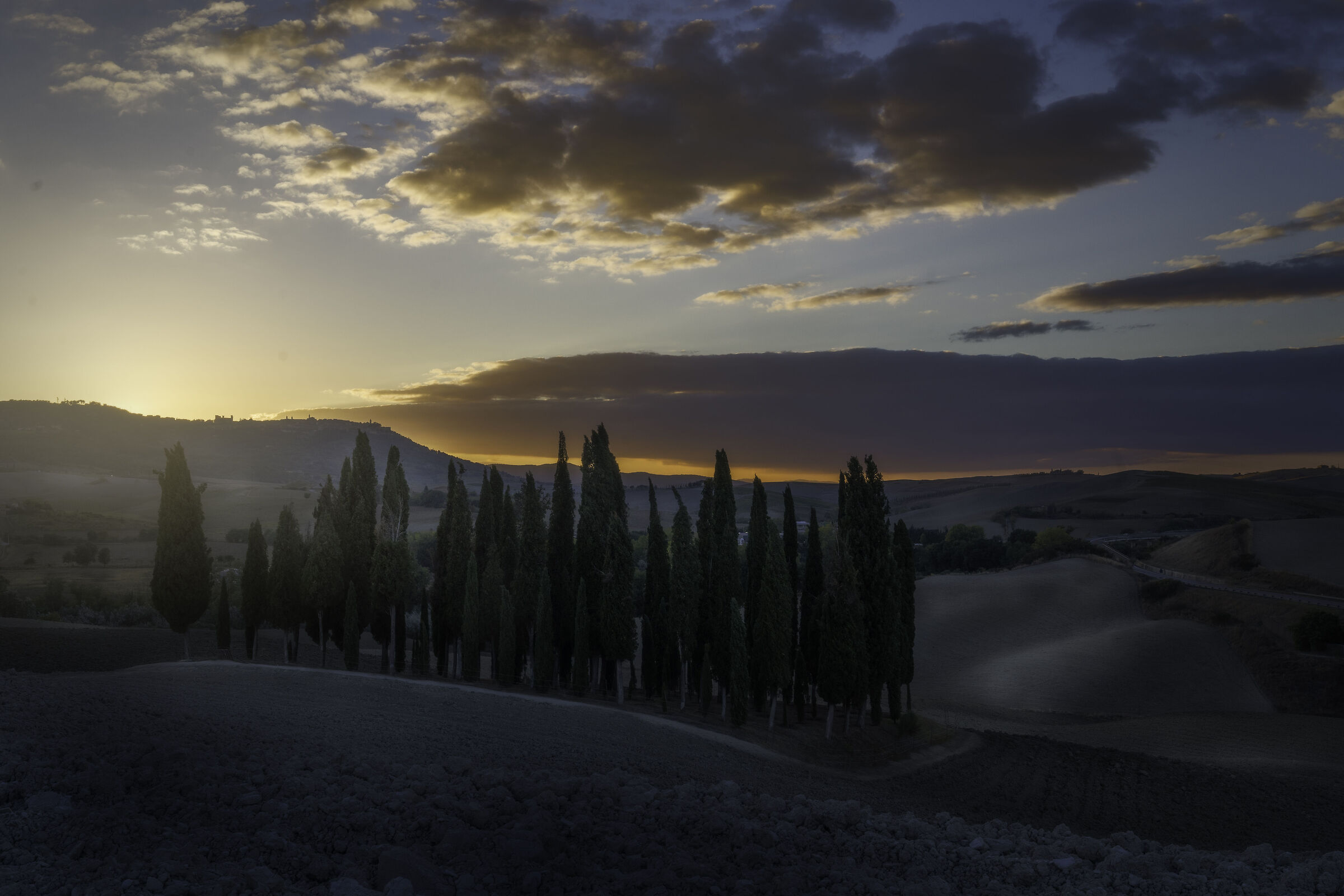 The cypresses of San Quirico