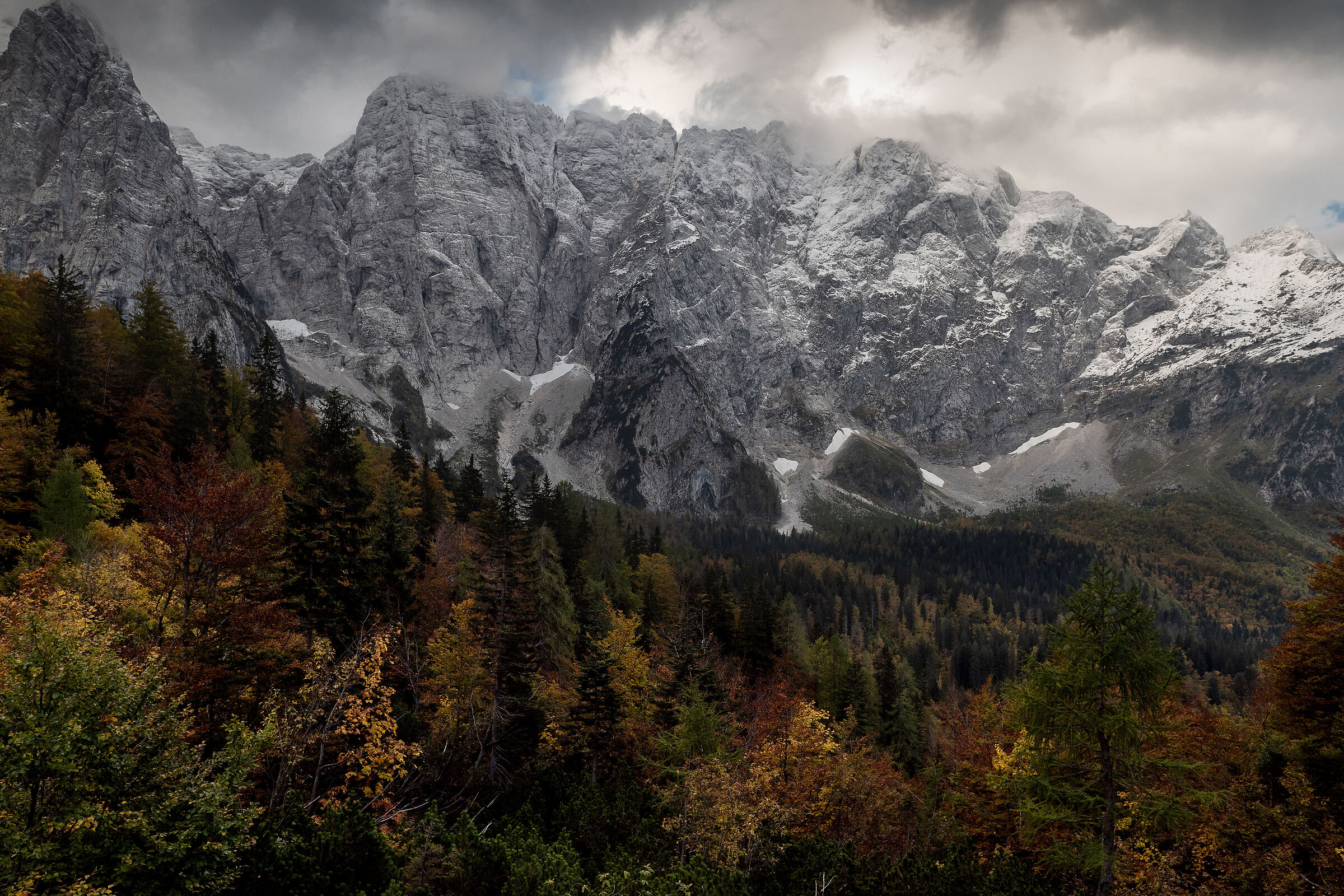 Contrasti d'autunno - Alpi Giulie - Italy