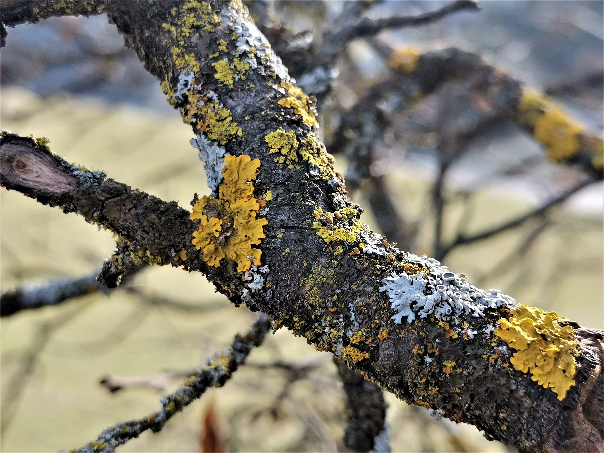 Autumn seen with my own eyes - 1 -