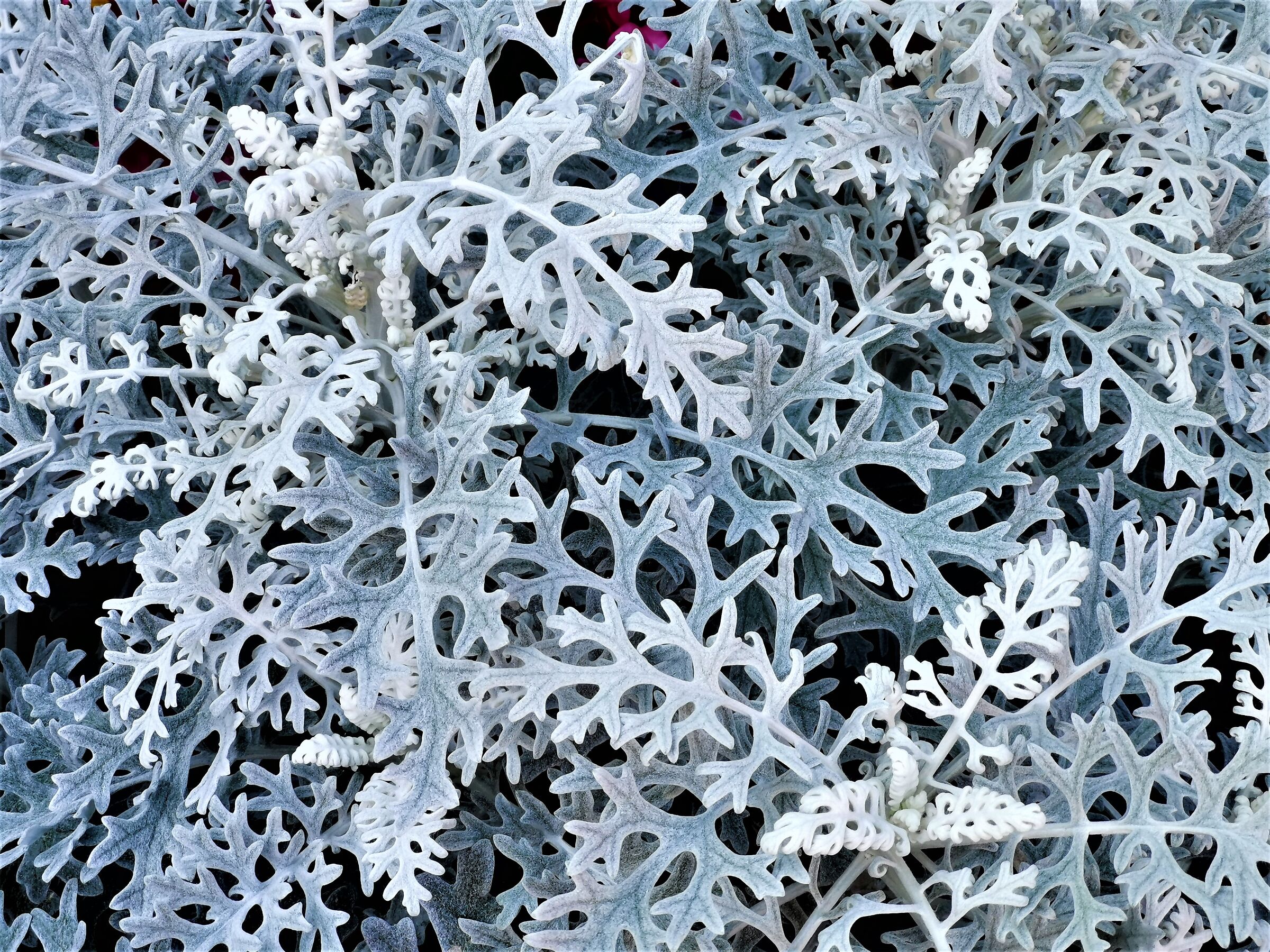 Autumn seen with my own eyes - 2 -