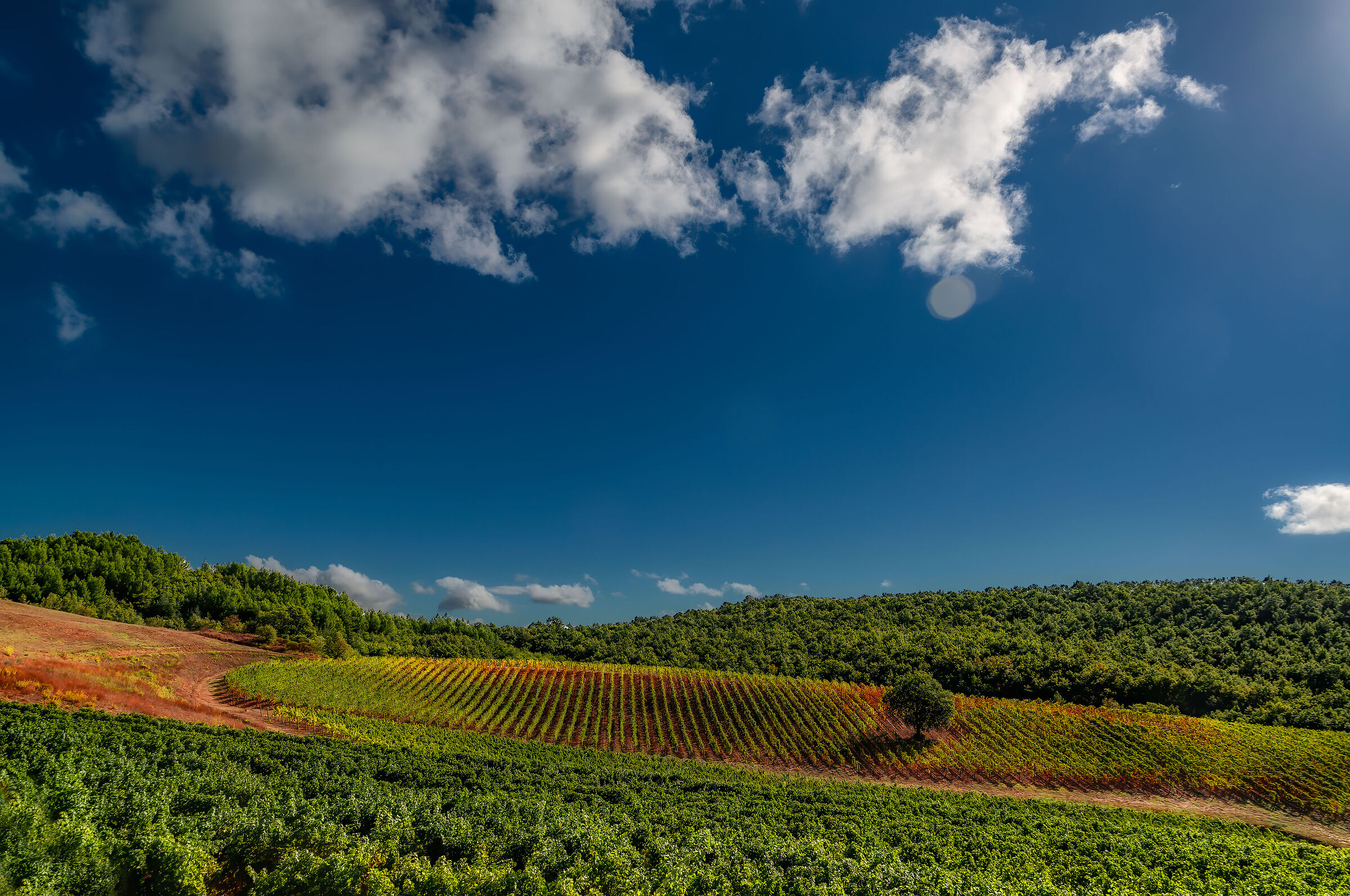 tra vigneti e cielo umbria