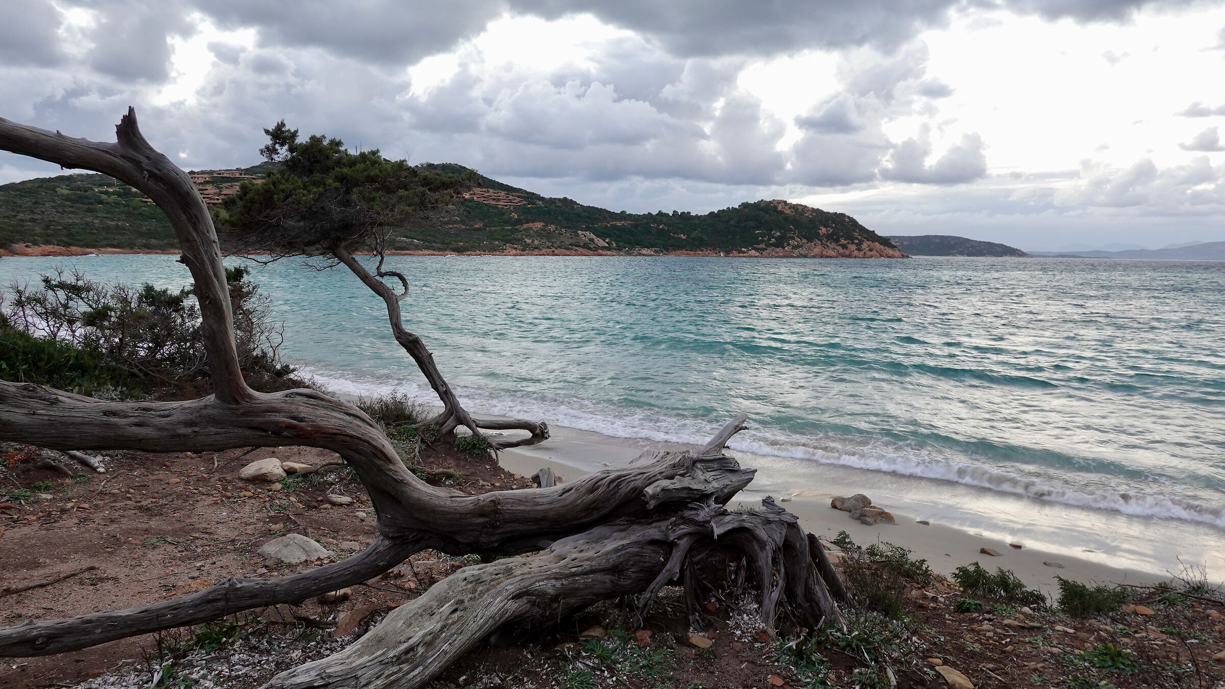 Beach of Coda Cavallo : bad weather