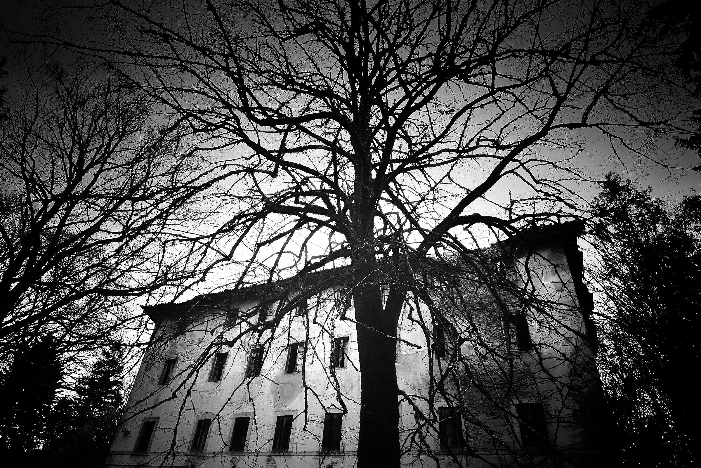 Non aprite quelle finestre!!