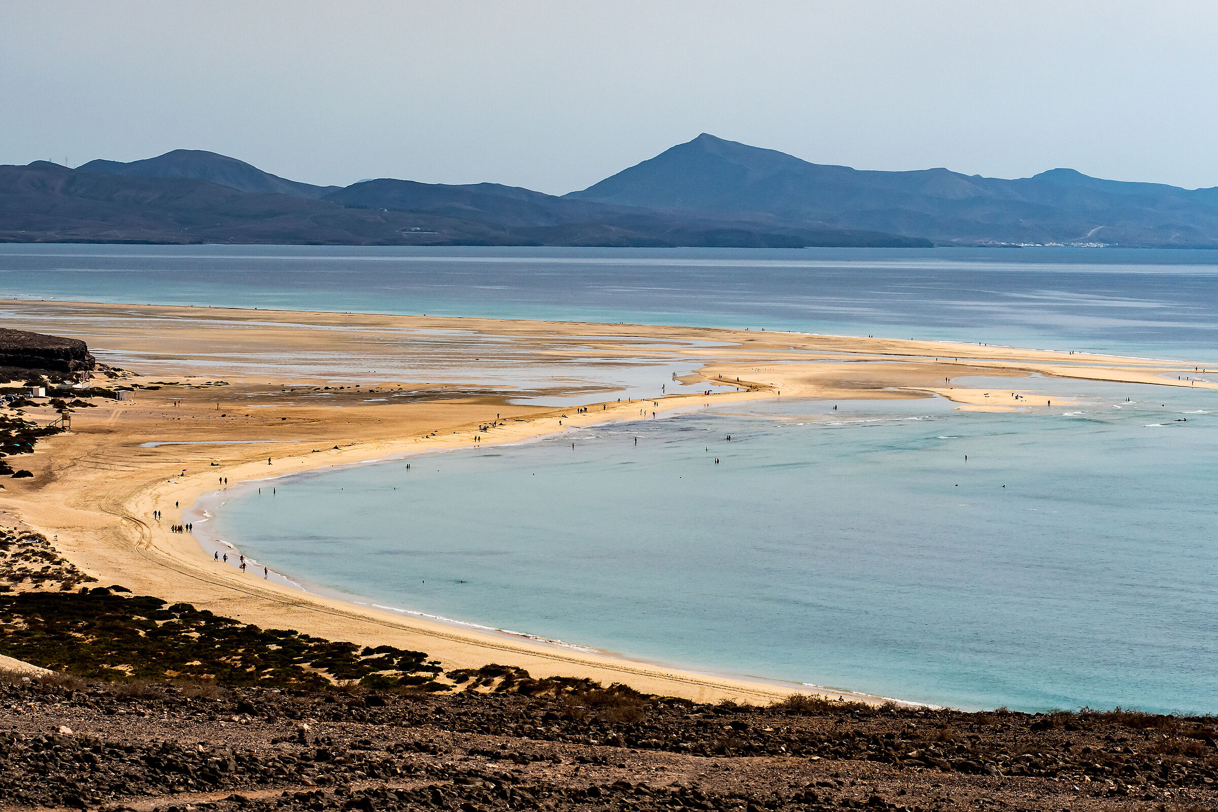 Pàjara Fuerteventura