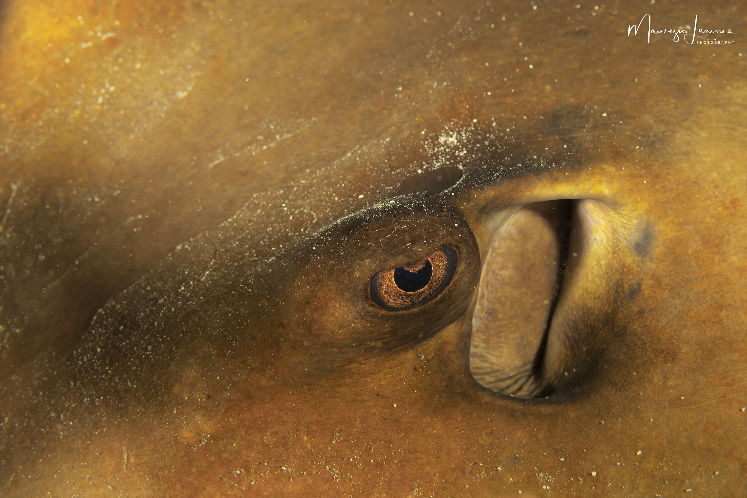 Eye to ye